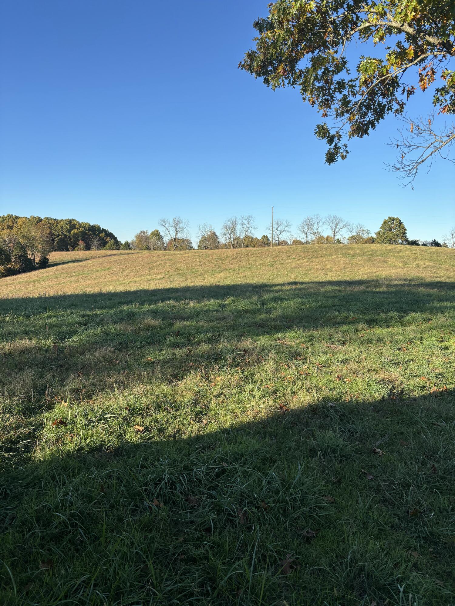 Photo 23 - Farm for sale – Hc 73  County Road 245   Drury, MO