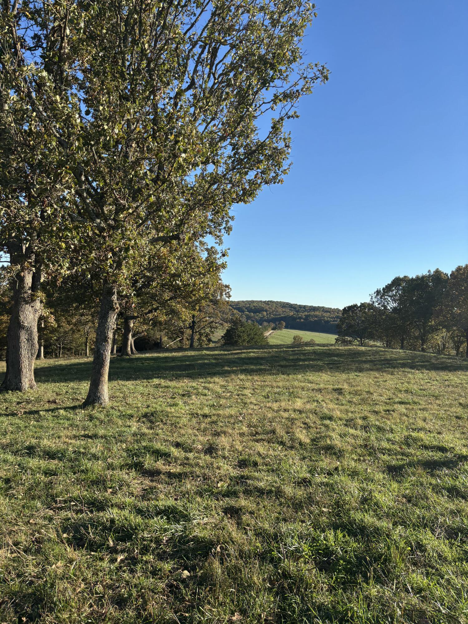 Photo 17 - Farm for sale – Hc 73  County Road 245   Drury, MO