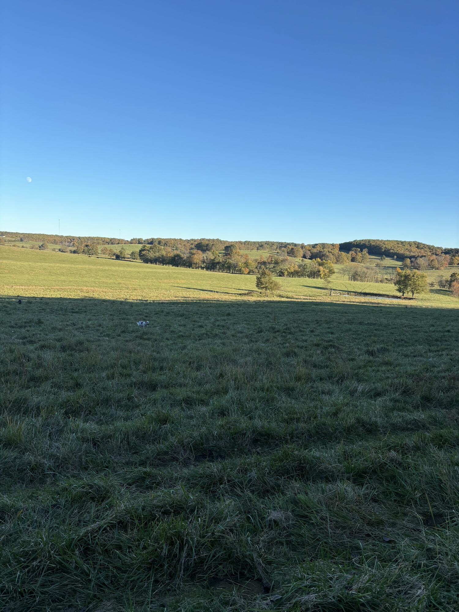 Photo 40 - Farm for sale – Hc 73  County Road 245   Drury, MO