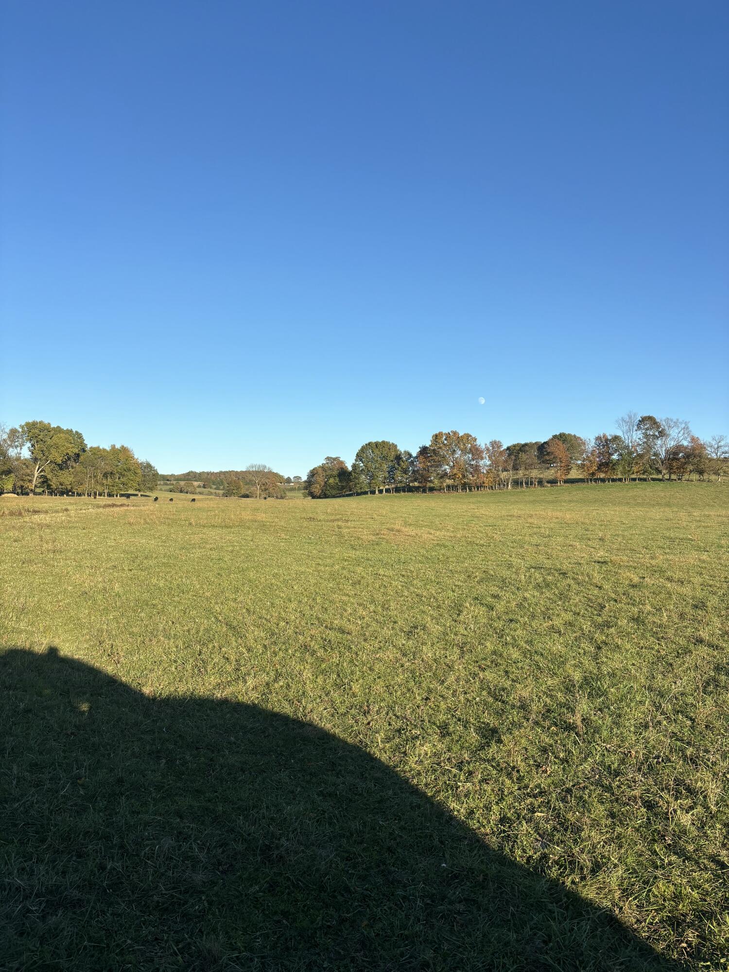 Photo 47 - Farm for sale – Hc 73  County Road 245   Drury, MO