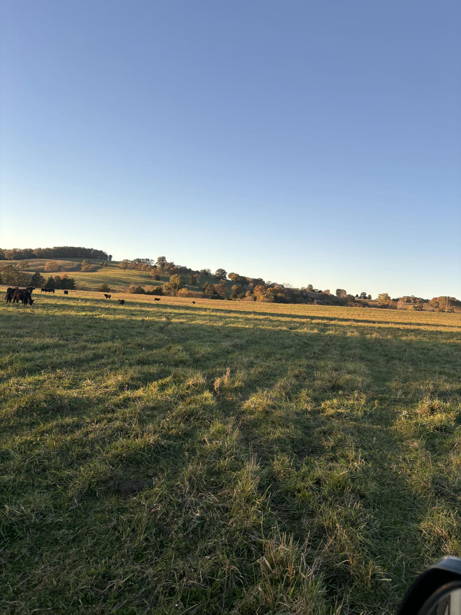 Photo 81 - Farm for sale – Hc 73  County Road 245   Drury, MO