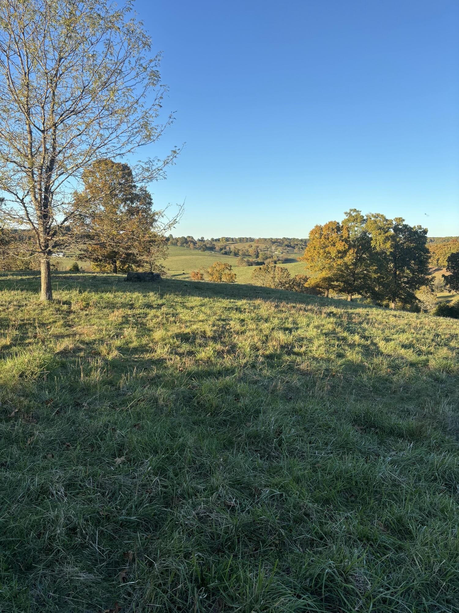 Photo 74 - Farm for sale – Hc 73  County Road 245   Drury, MO