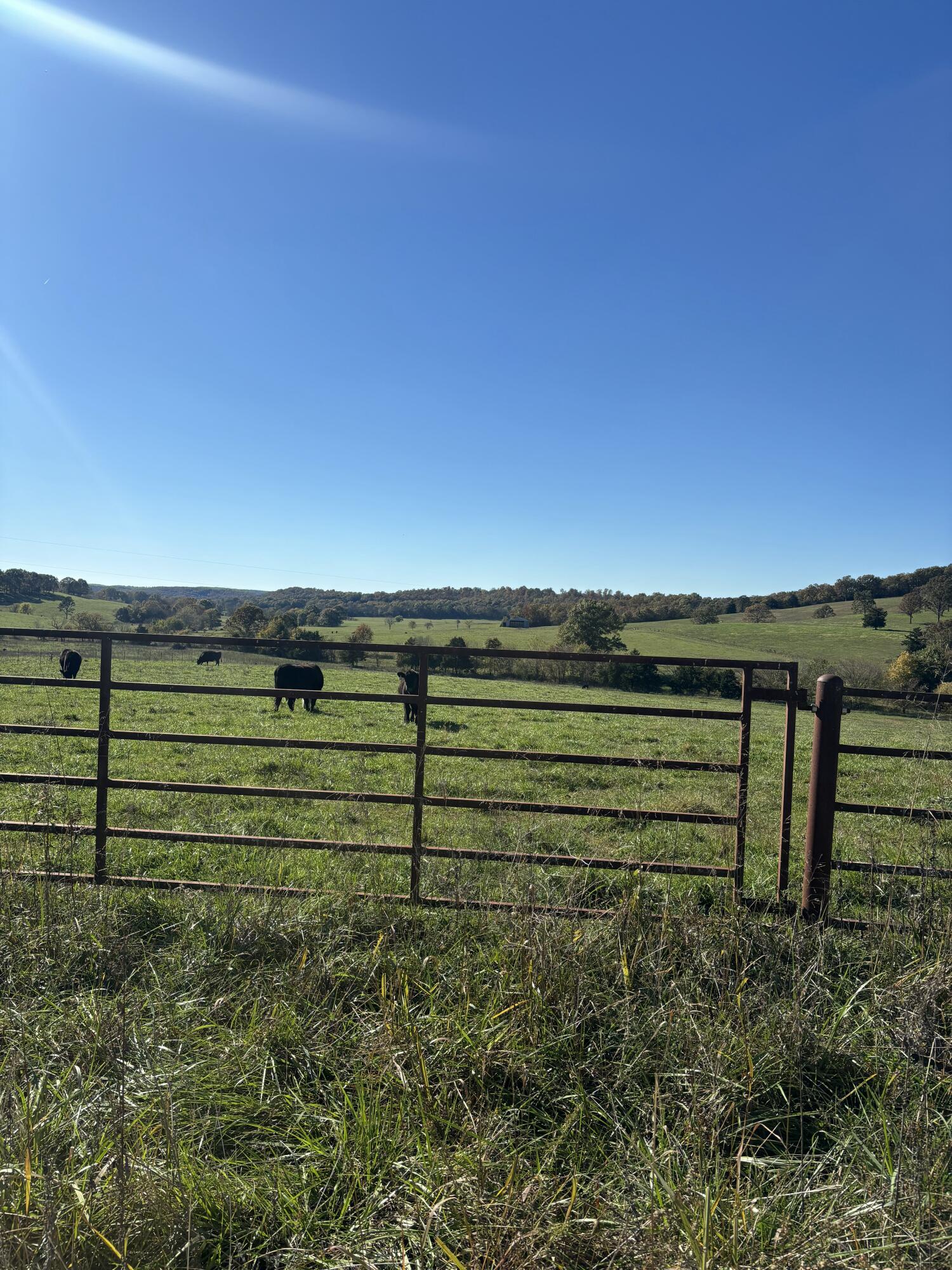 Photo 2 - Farm for sale – Hc 73  County Road 245   Drury, MO