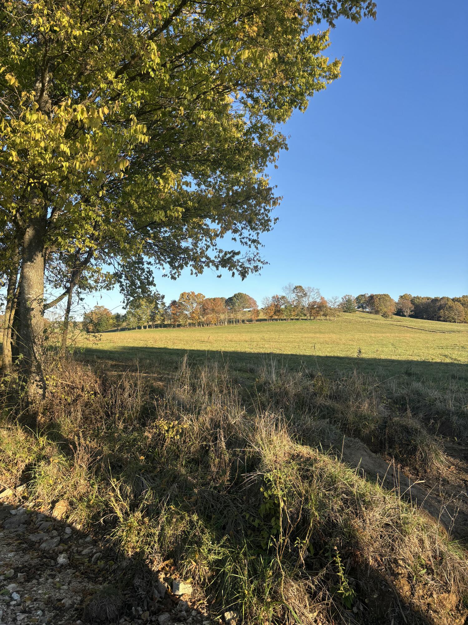 Photo 44 - Farm for sale – Hc 73  County Road 245   Drury, MO