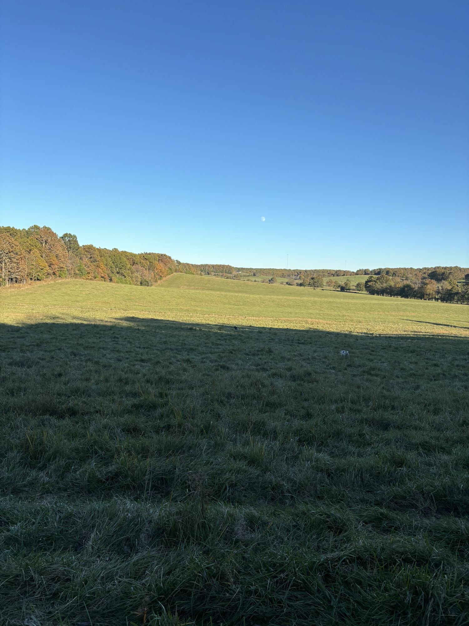 Photo 39 - Farm for sale – Hc 73  County Road 245   Drury, MO