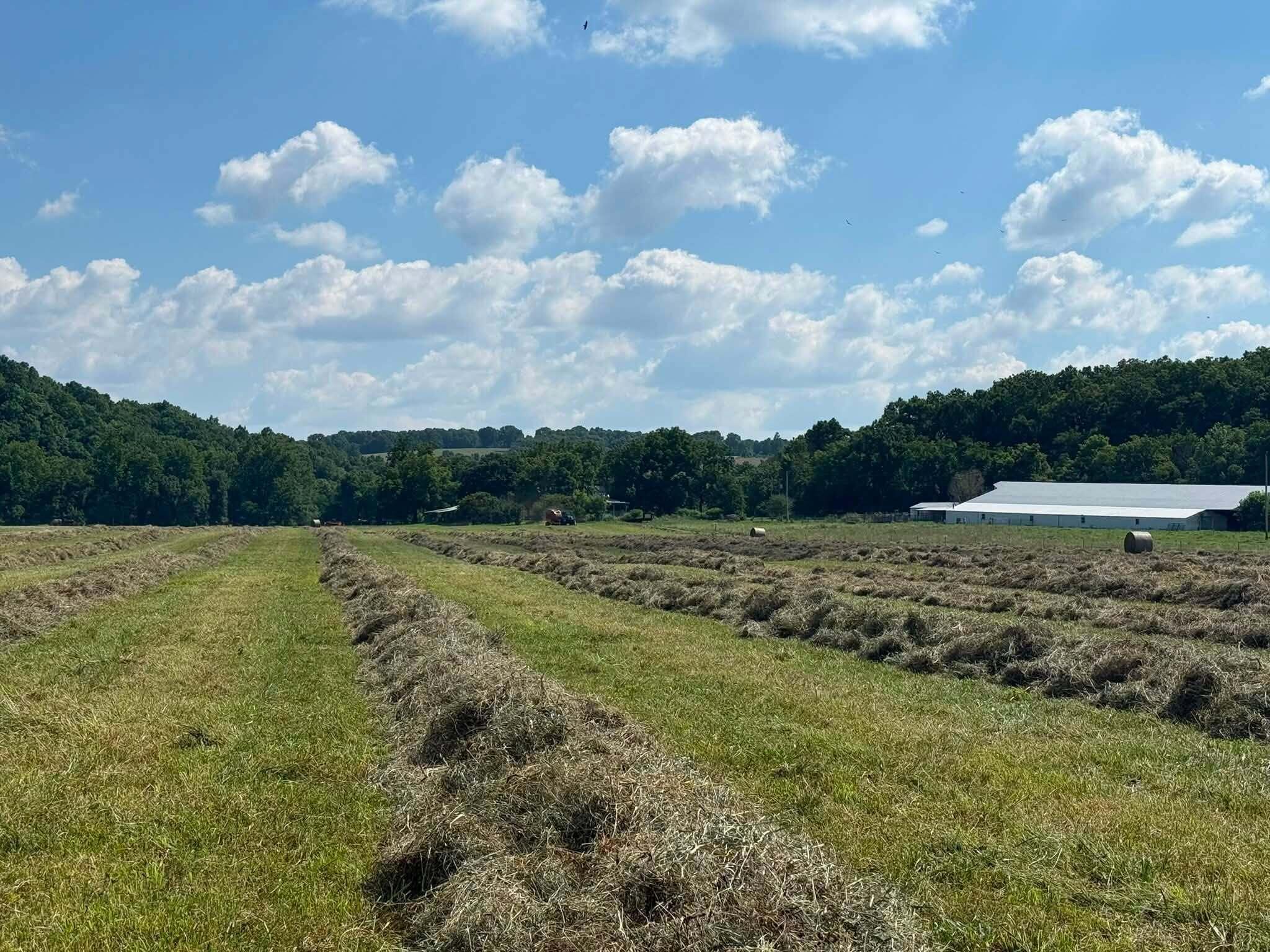 Photo 59 - Farm for sale – 10790  Z Highway   Falcon, MO