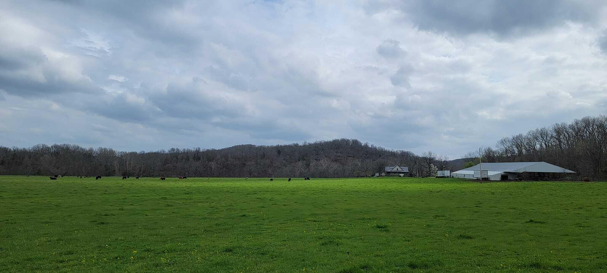 Photo 74 - Farm for sale – 10790  Z Highway   Falcon, MO