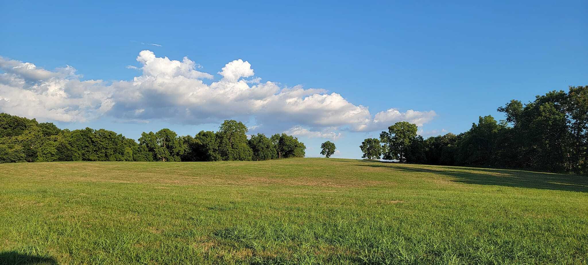 Photo 78 - Farm for sale – 10790  Z Highway   Falcon, MO