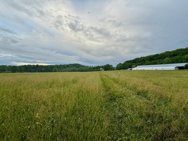 Photo 64 - Farm for sale – 10790  Z Highway   Falcon, MO