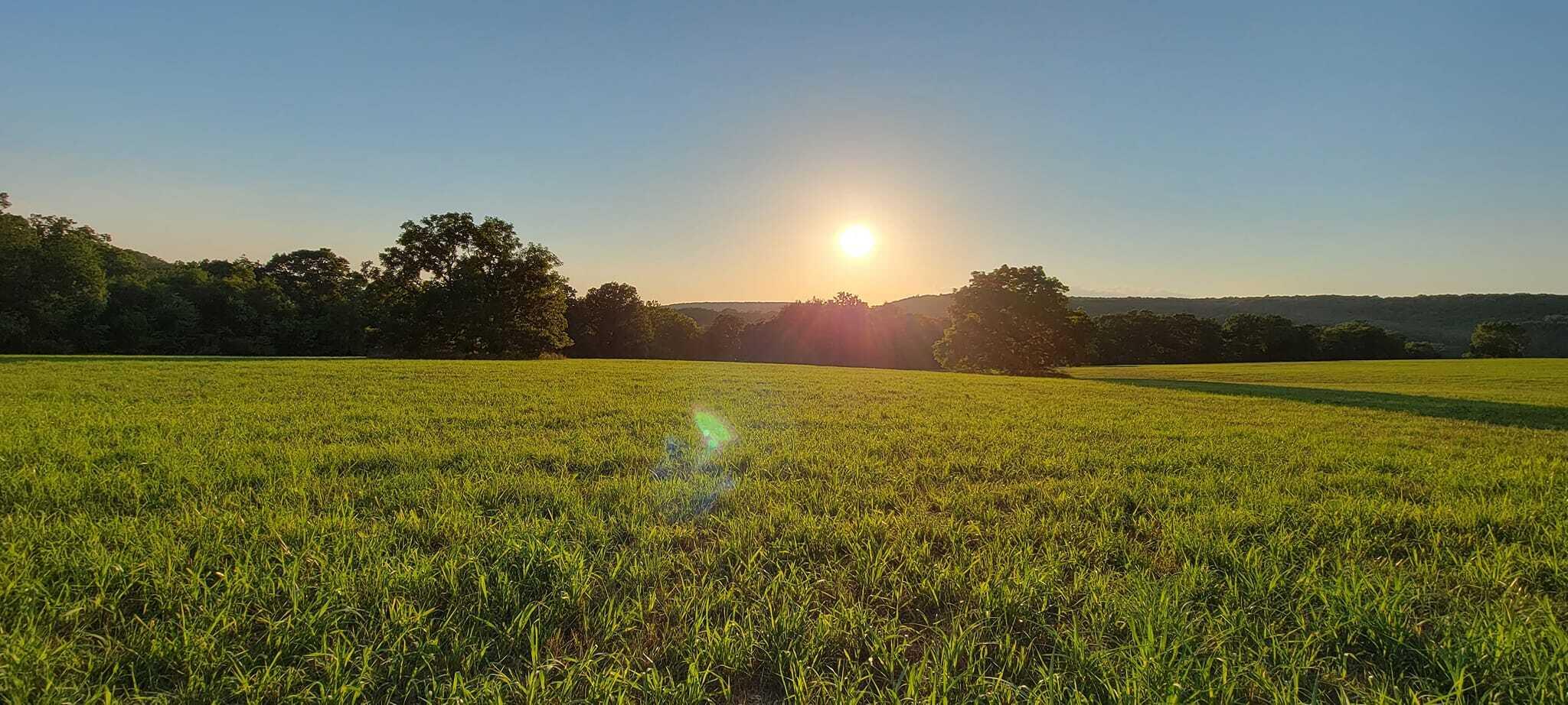 Photo 77 - Farm for sale – 10790  Z Highway   Falcon, MO