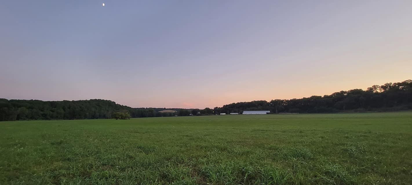 Photo 76 - Farm for sale – 10790  Z Highway   Falcon, MO