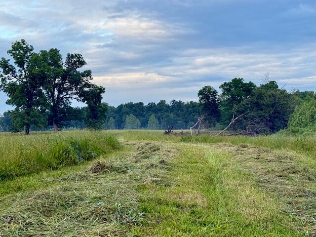 Photo 54 - Farm for sale – 10790  Z Highway   Falcon, MO
