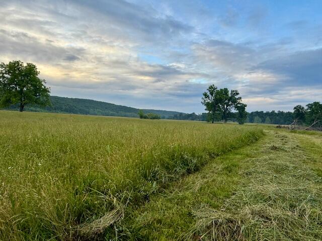 Photo 57 - Farm for sale – 10790  Z Highway   Falcon, MO