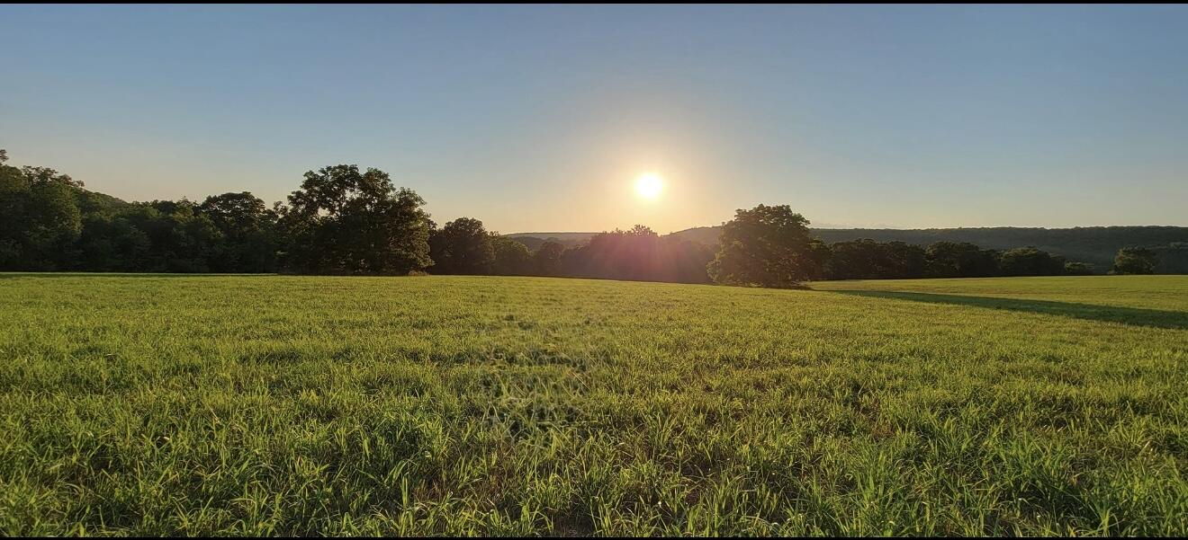 Photo 75 - Farm for sale – 10790  Z Highway   Falcon, MO
