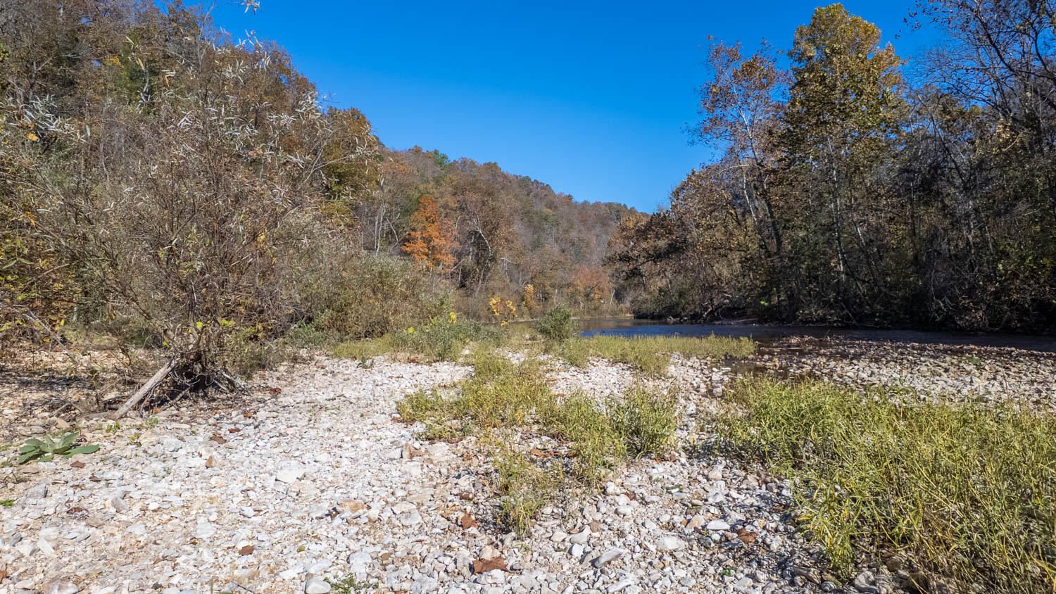 Photo 13 - Land for sale – 000  State Highway 14-181   Dora, MO