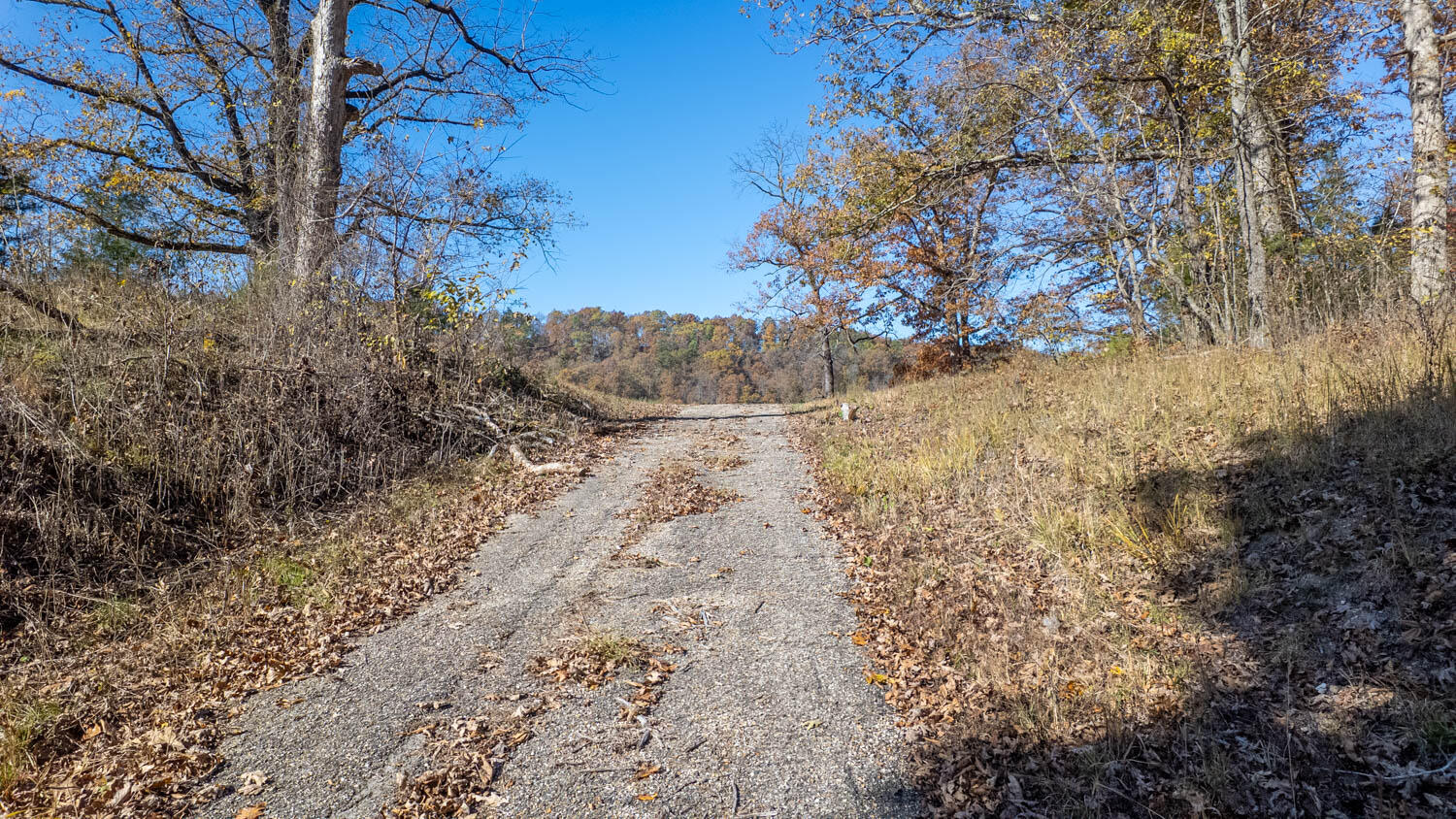 Photo 24 - Land for sale – 000  State Highway 14-181   Dora, MO