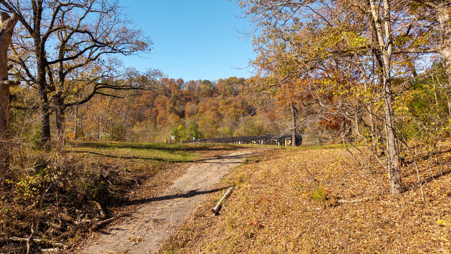Photo 9 - Land for sale – 000  State Highway 14-181   Dora, MO