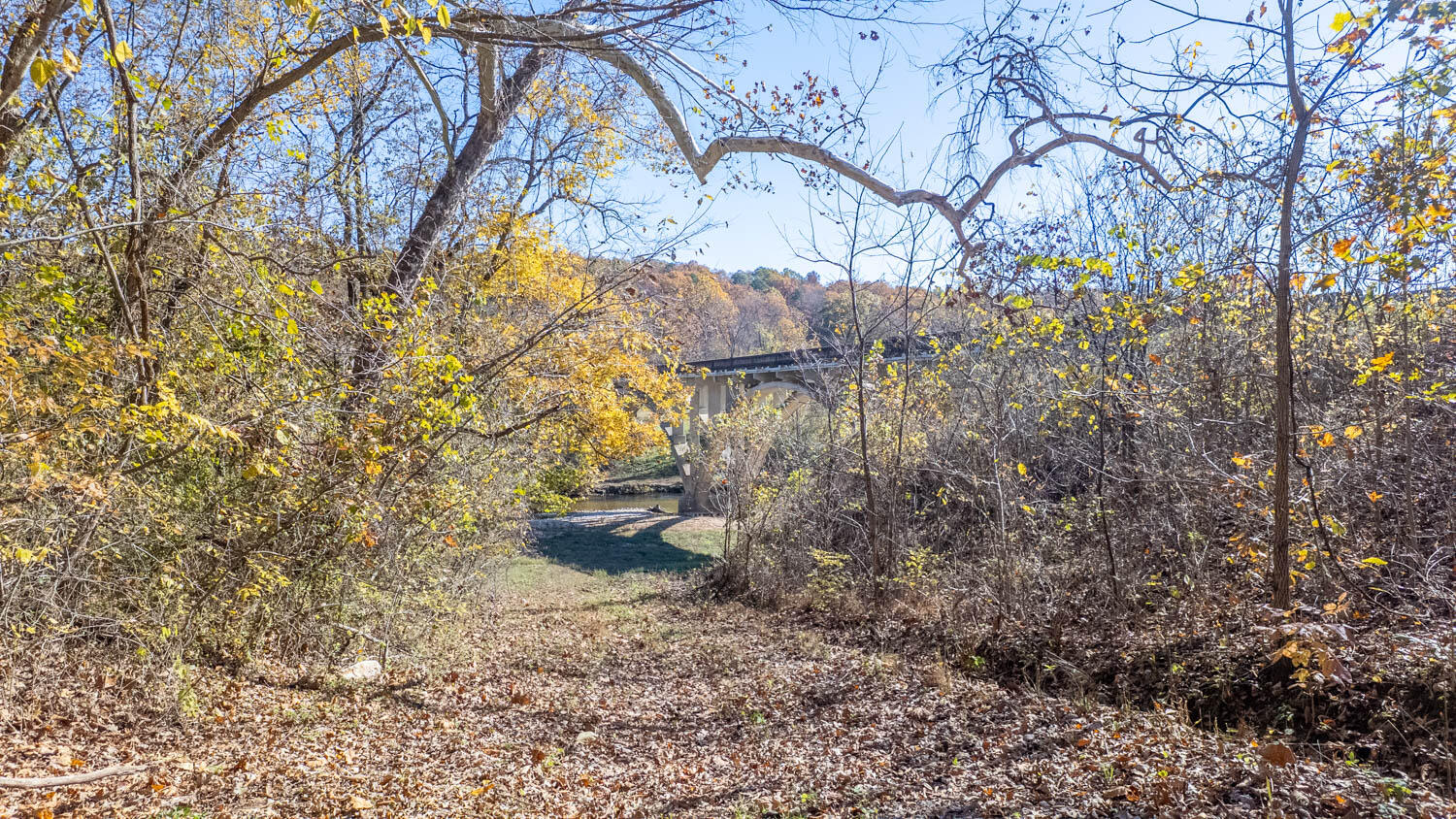 Photo 23 - Land for sale – 000  State Highway 14-181   Dora, MO