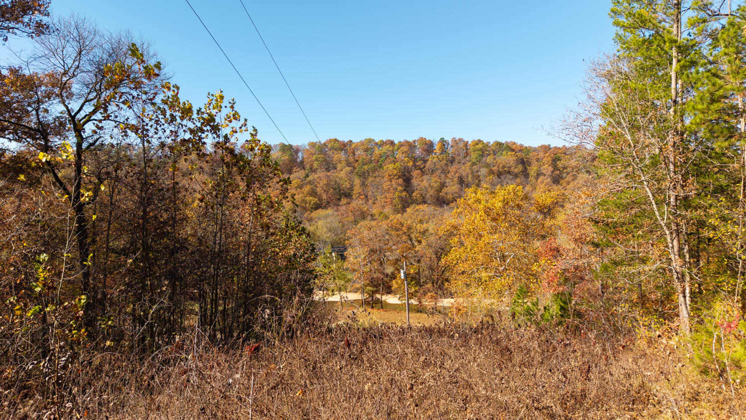 Photo 8 - Land for sale – 000  State Highway 14-181   Dora, MO