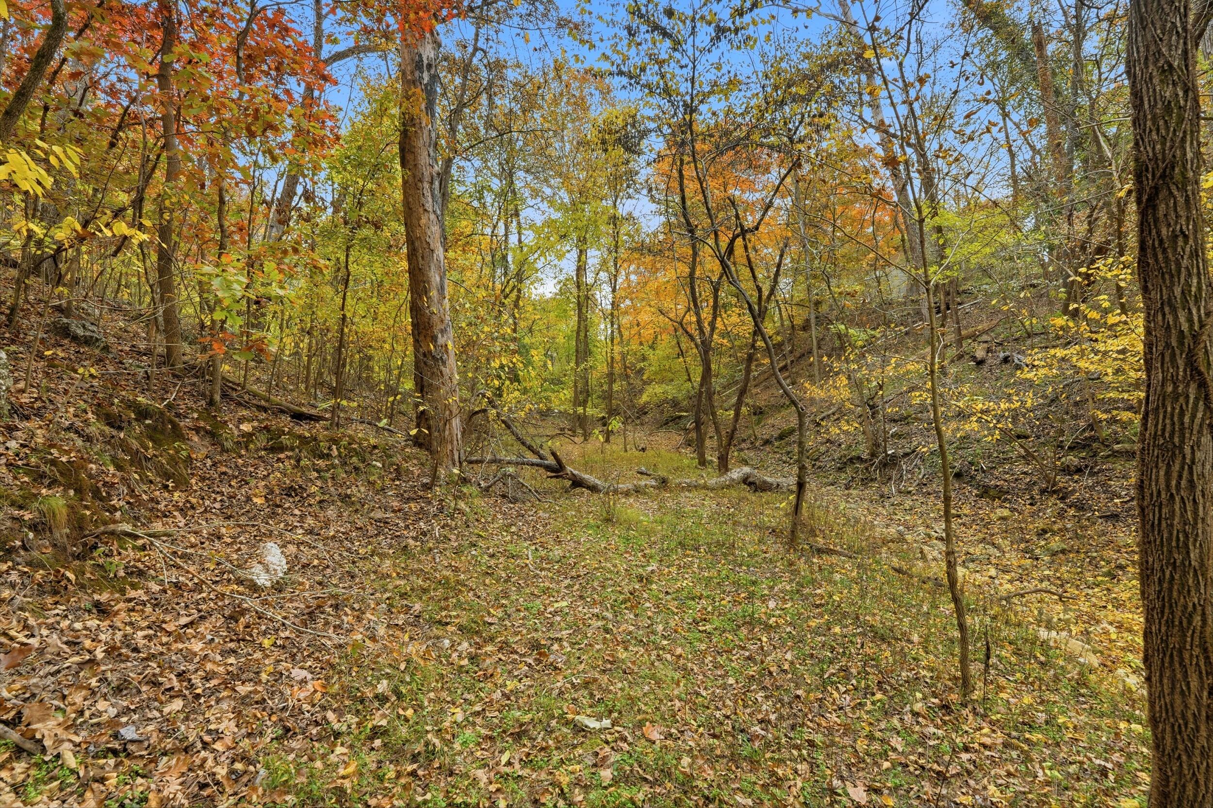 Photo 12 - Land for sale – 335  Wallace Drive  Rockaway Beach, MO