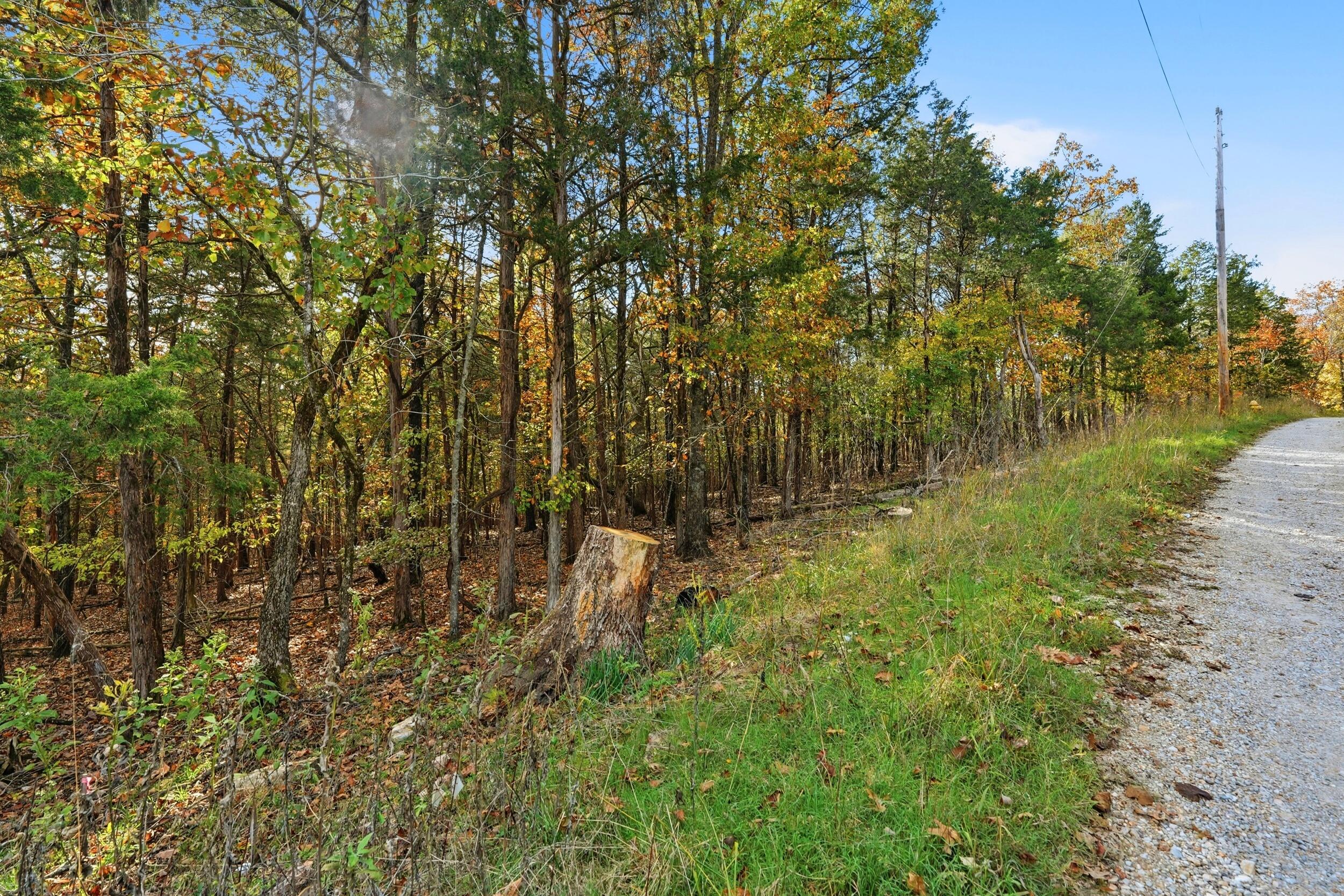 Photo 4 - Land for sale – 335  Wallace Drive  Rockaway Beach, MO
