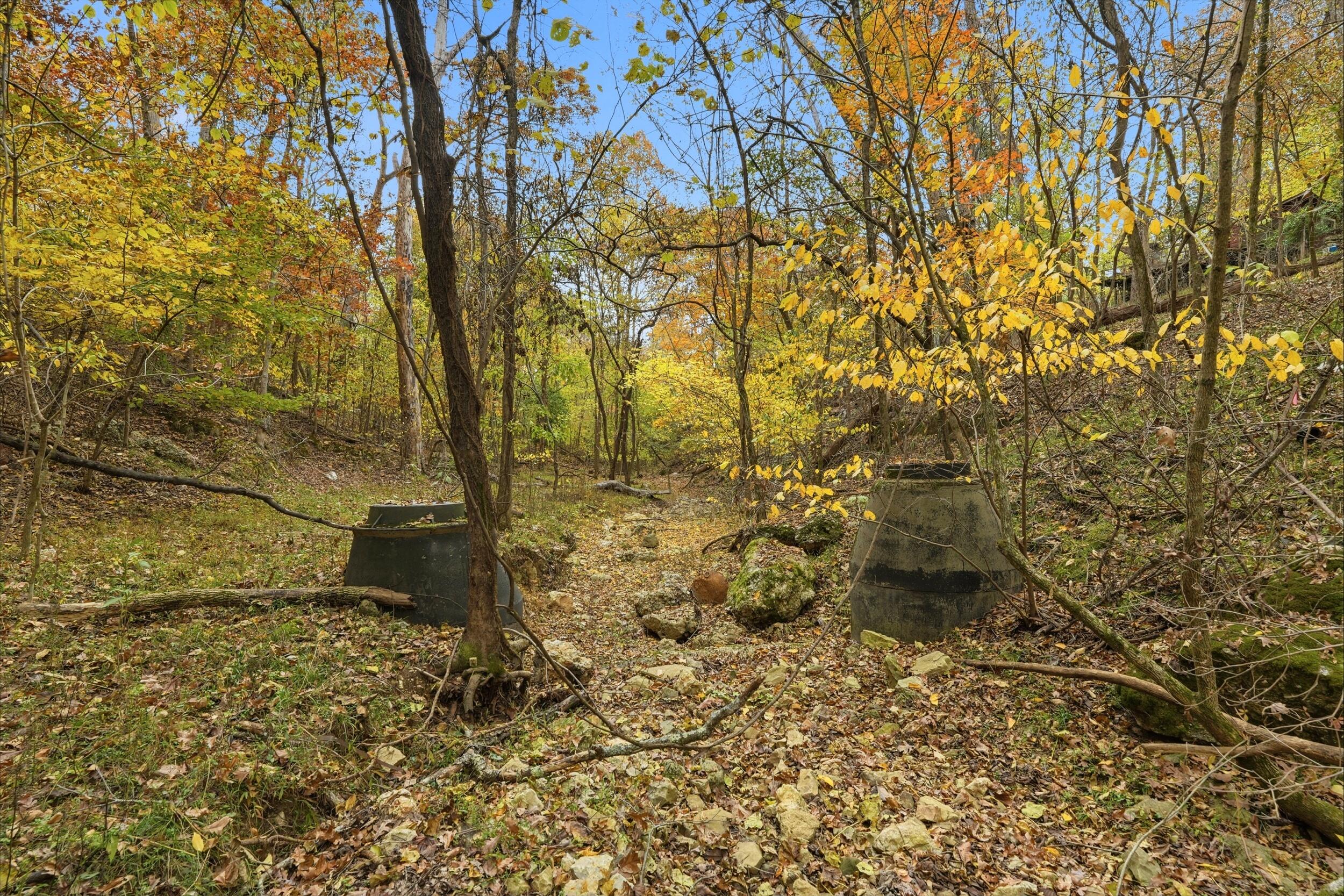 Photo 9 - Land for sale – 335  Wallace Drive  Rockaway Beach, MO