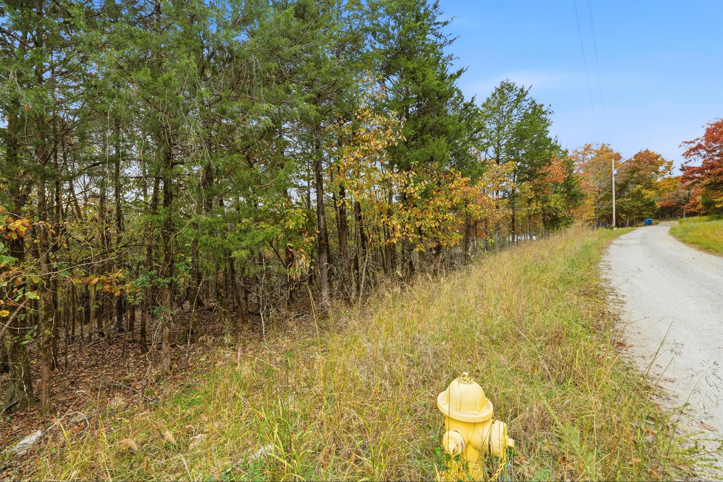 Photo 6 - Land for sale – 335  Wallace Drive  Rockaway Beach, MO