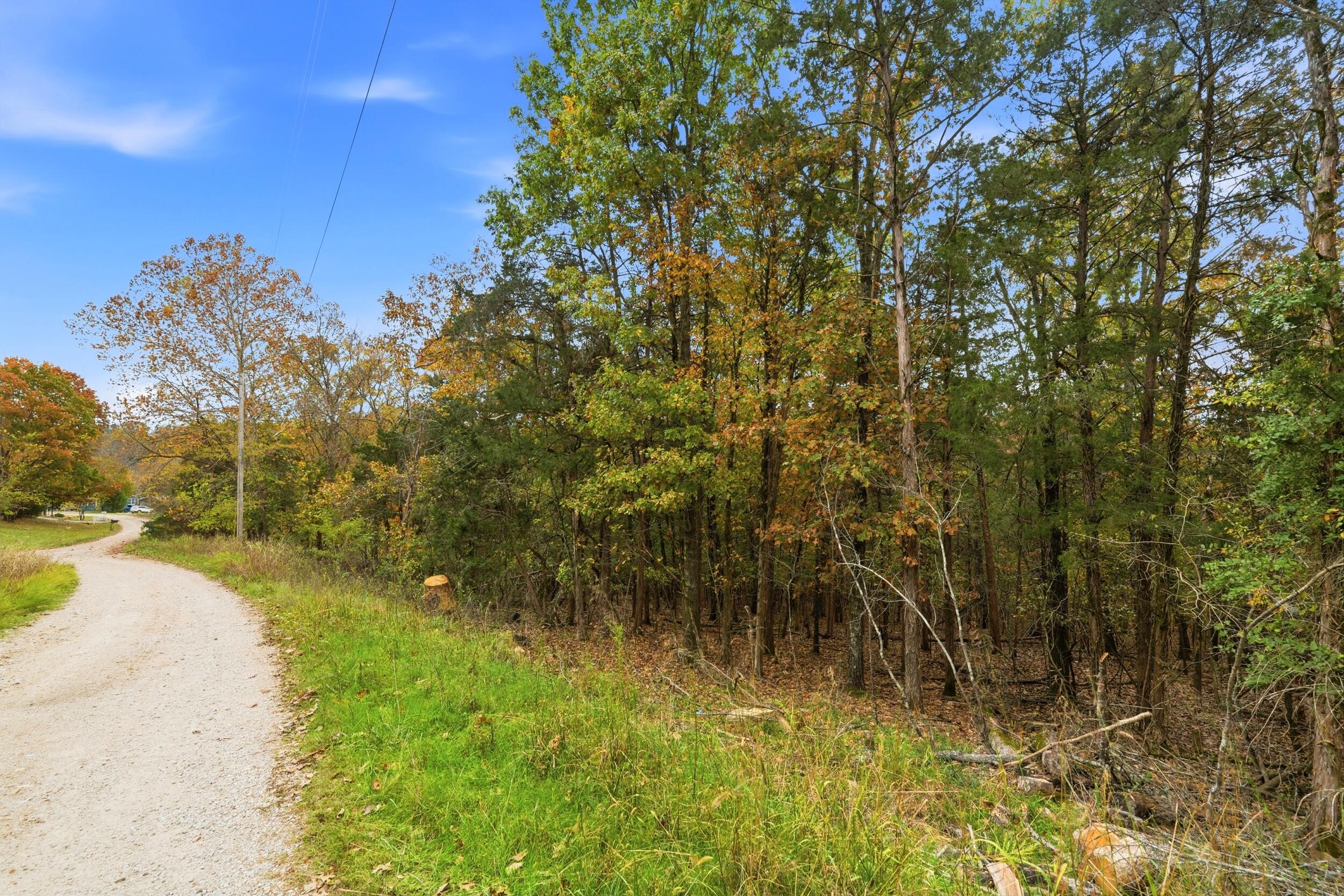 Photo 3 - Land for sale – 335  Wallace Drive  Rockaway Beach, MO