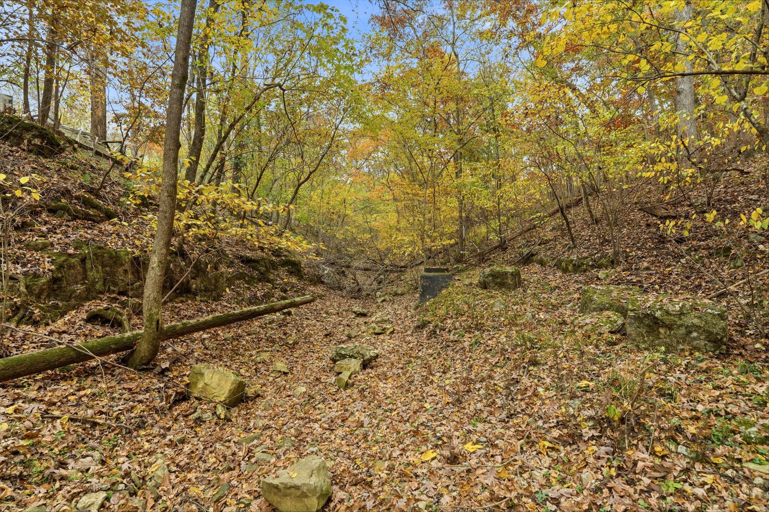 Photo 10 - Land for sale – 335  Wallace Drive  Rockaway Beach, MO