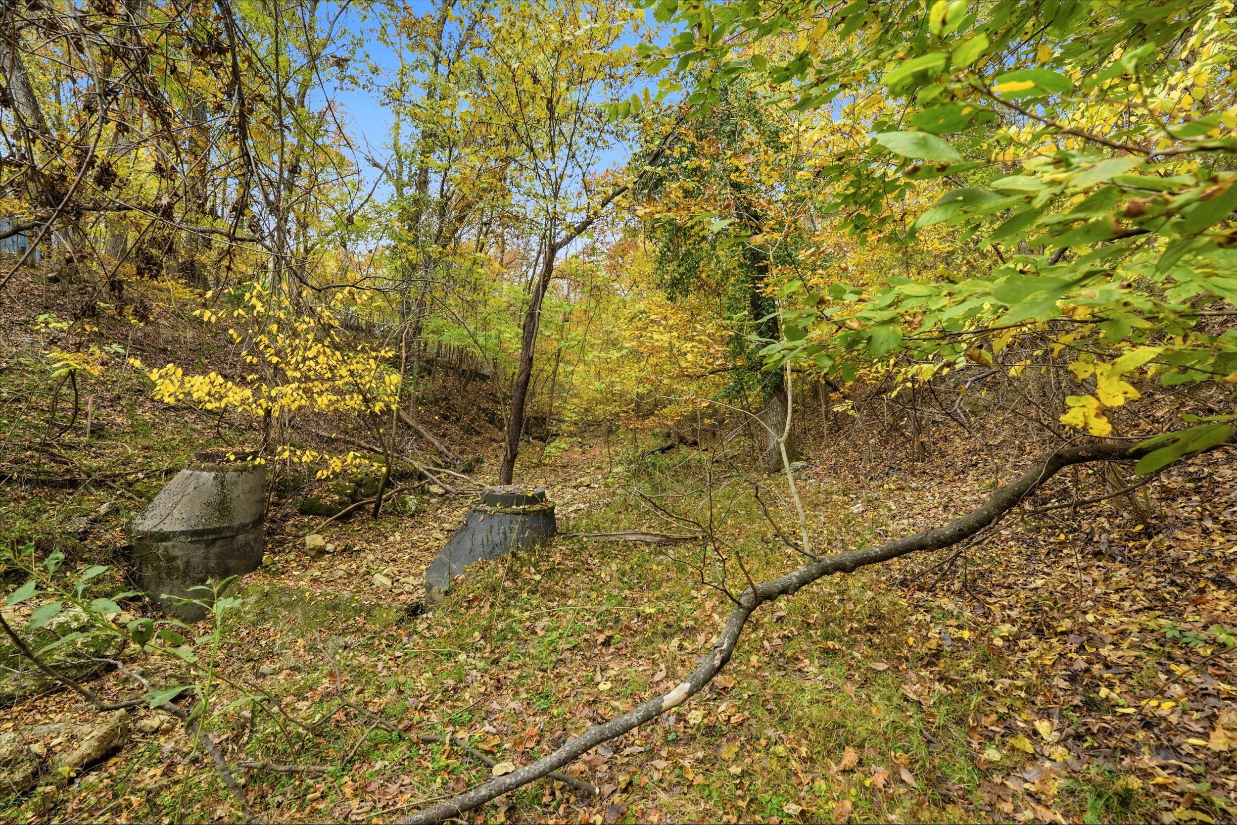 Photo 7 - Land for sale – 335  Wallace Drive  Rockaway Beach, MO