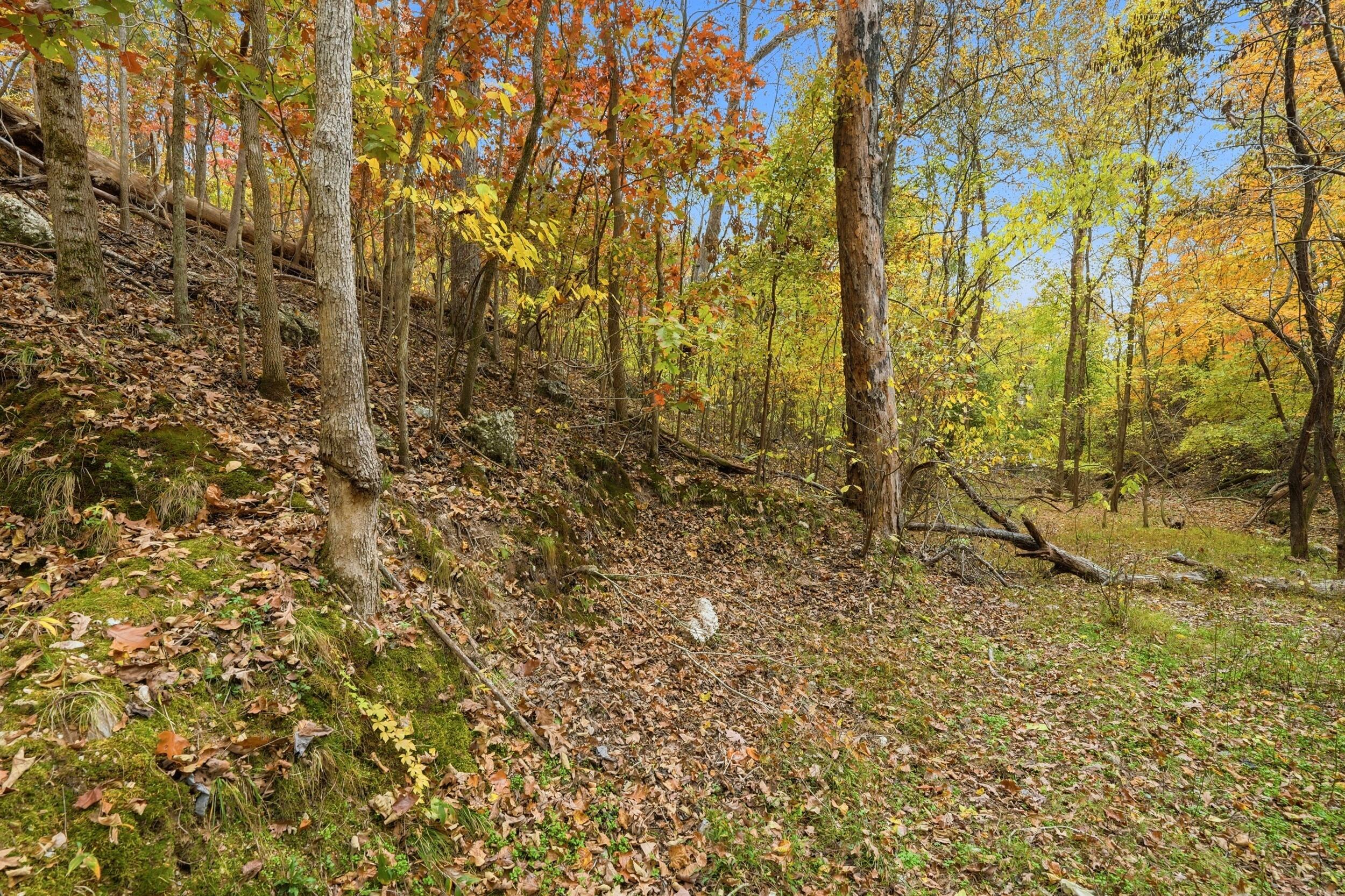 Photo 8 - Land for sale – 335  Wallace Drive  Rockaway Beach, MO