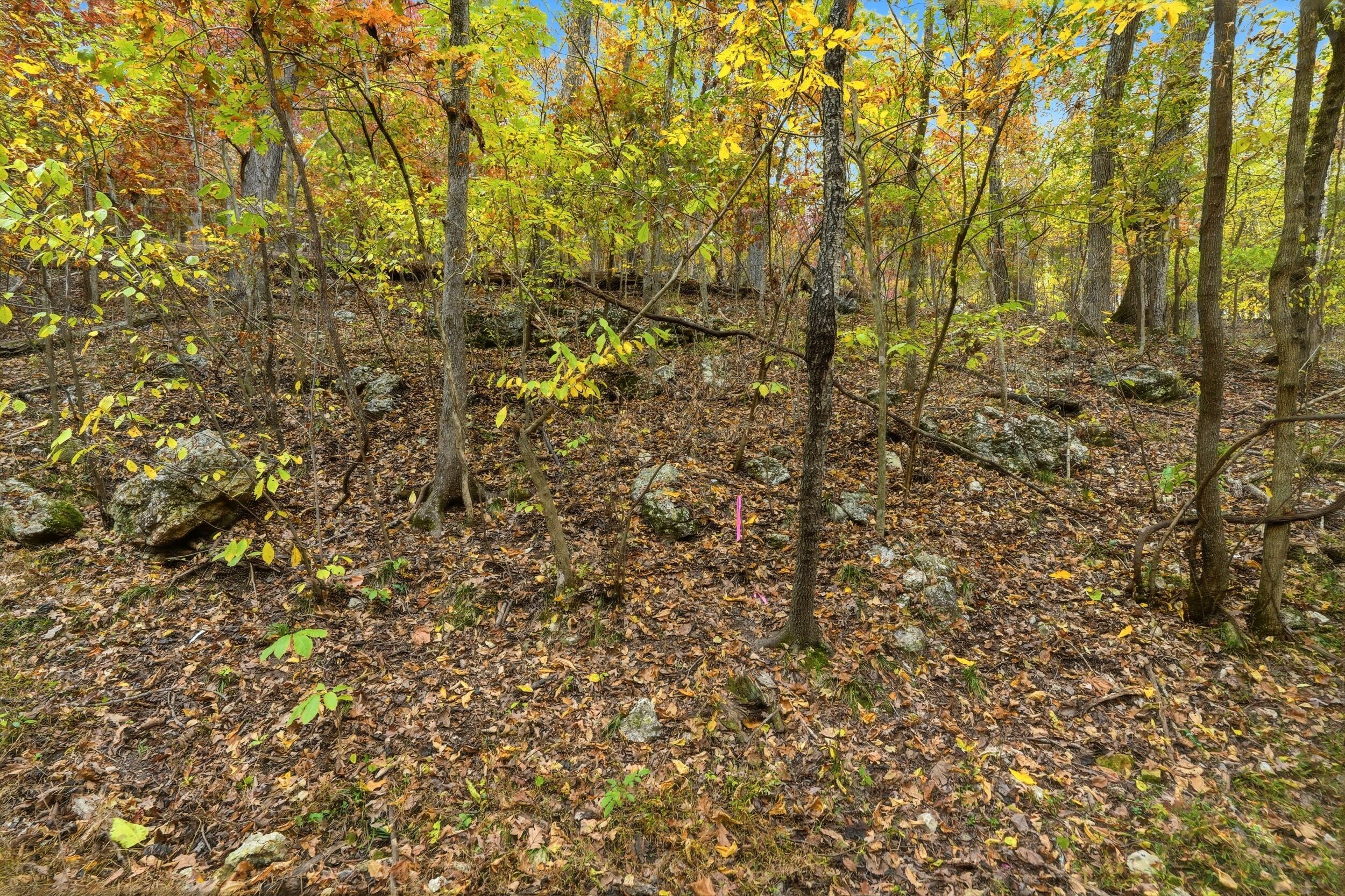 Photo 11 - Land for sale – 335  Wallace Drive  Rockaway Beach, MO
