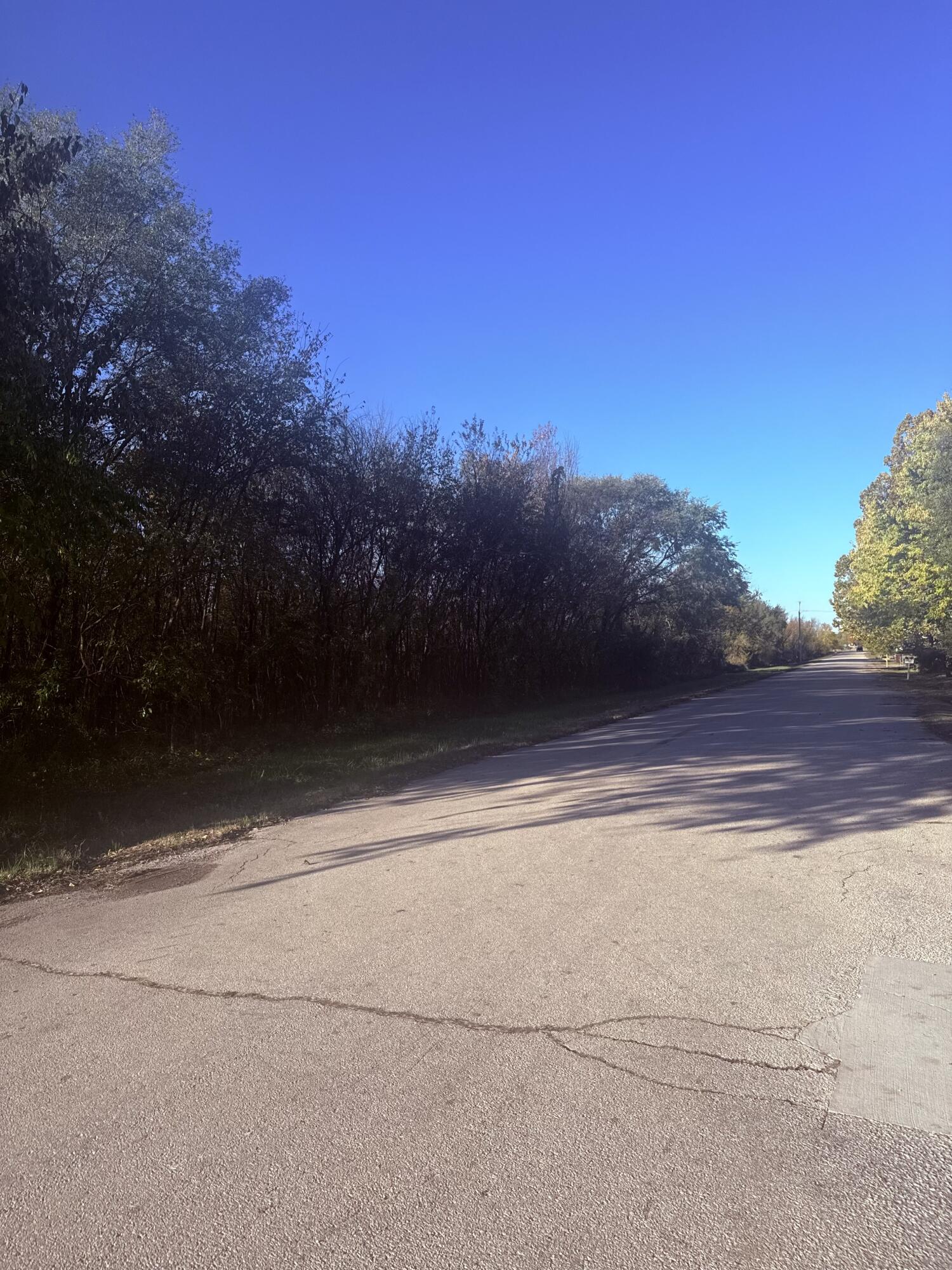 Photo 8 - Land for sale – 000  Crescent Street  Aurora, MO