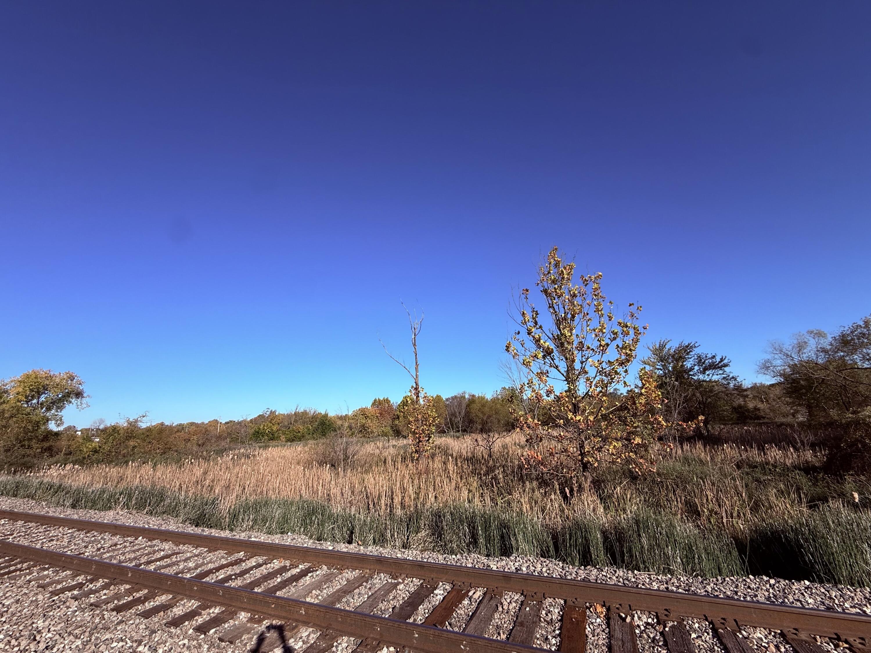 Photo 5 - Land for sale – 000  Crescent Street  Aurora, MO