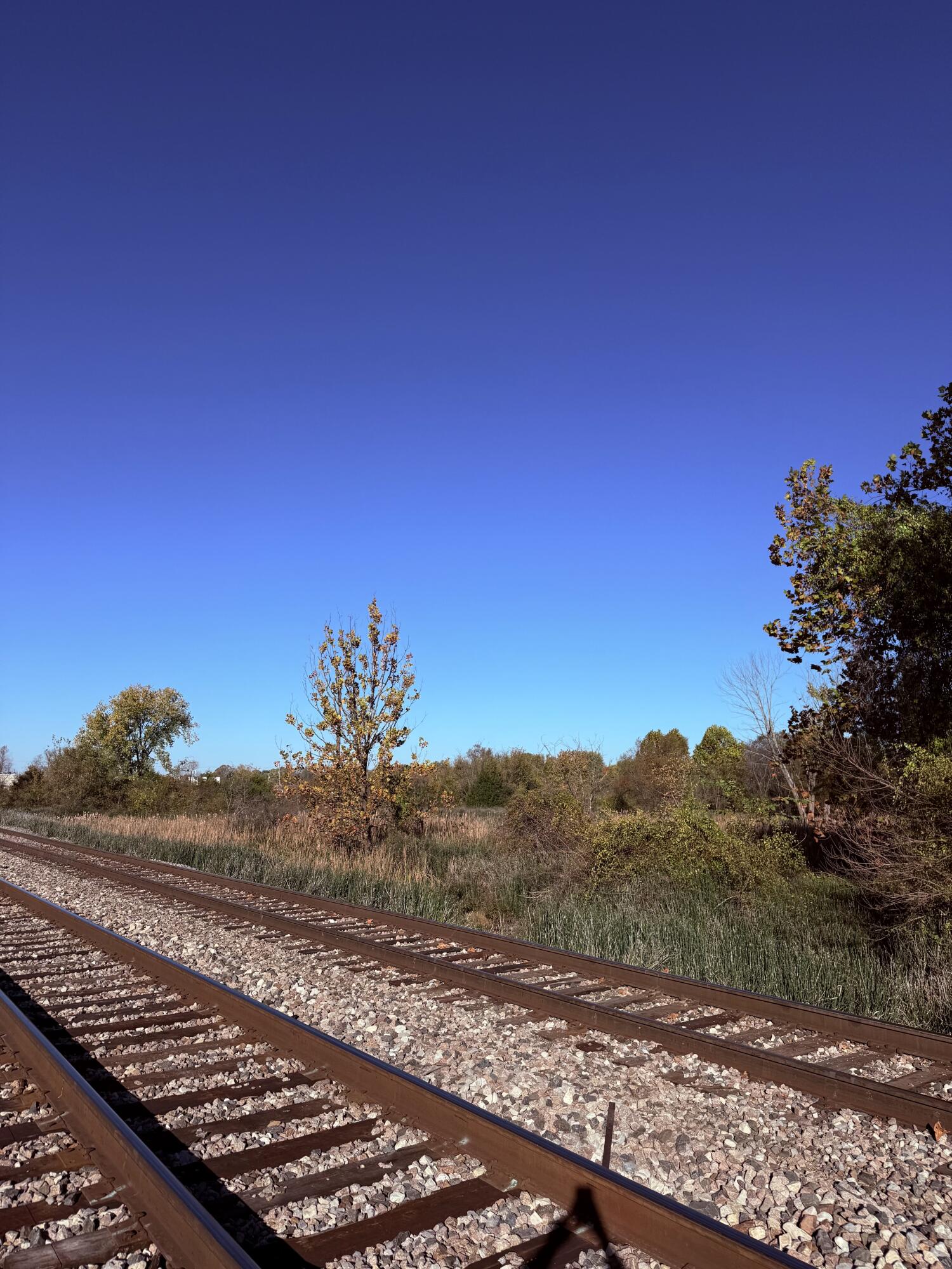 Photo 6 - Land for sale – 000  Crescent Street  Aurora, MO