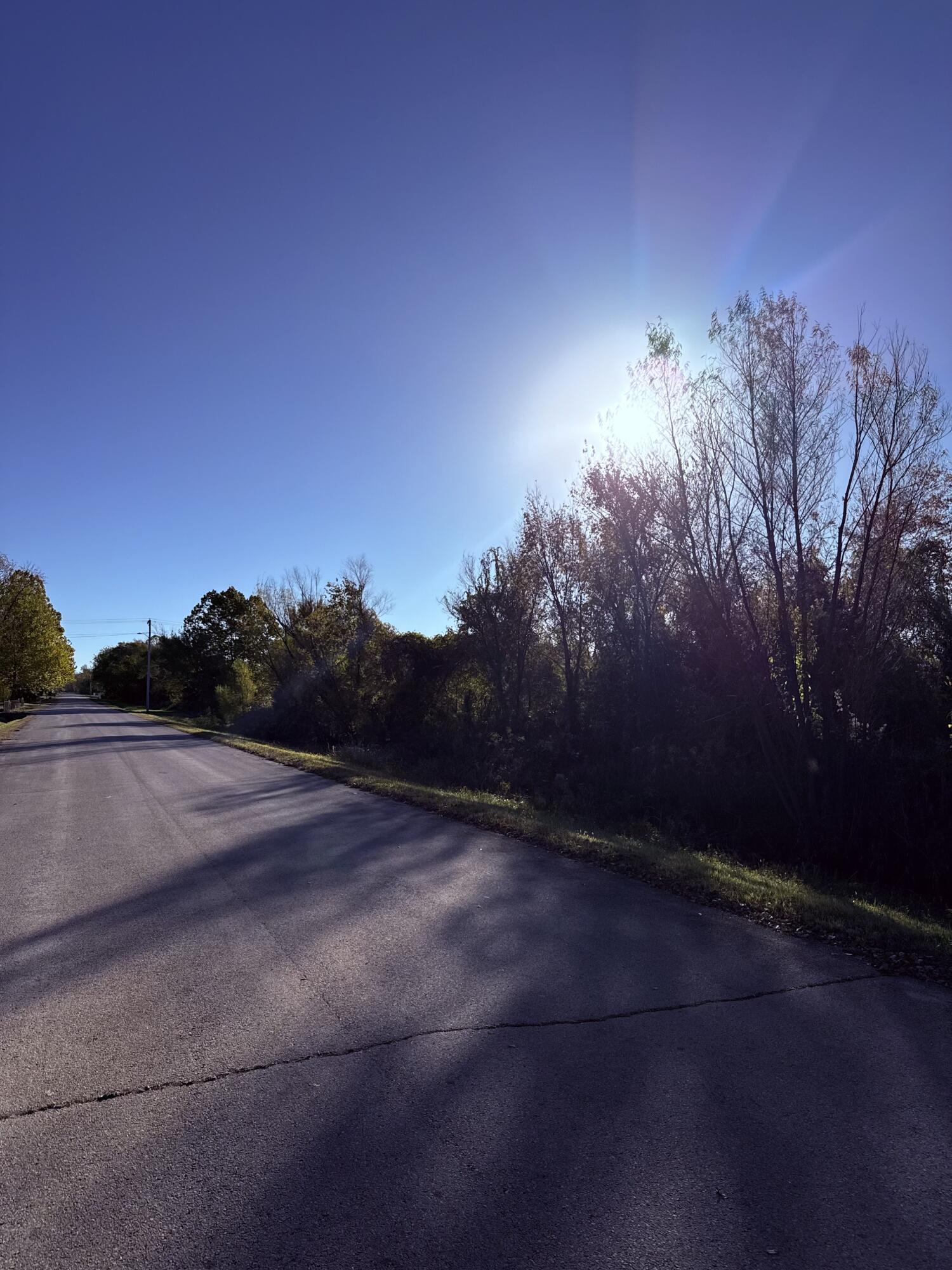Photo 10 - Land for sale – 000  Crescent Street  Aurora, MO