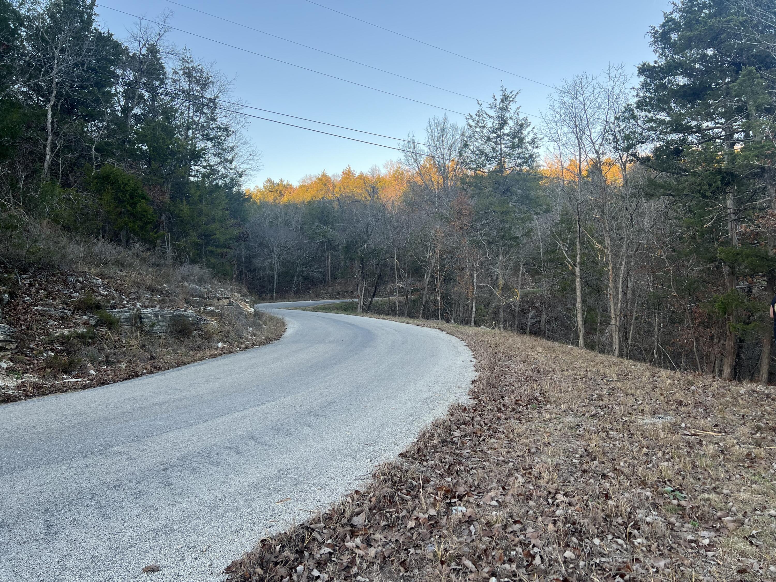 Photo 12 - Land for sale – 790  Pomme De Terre   Branson, MO