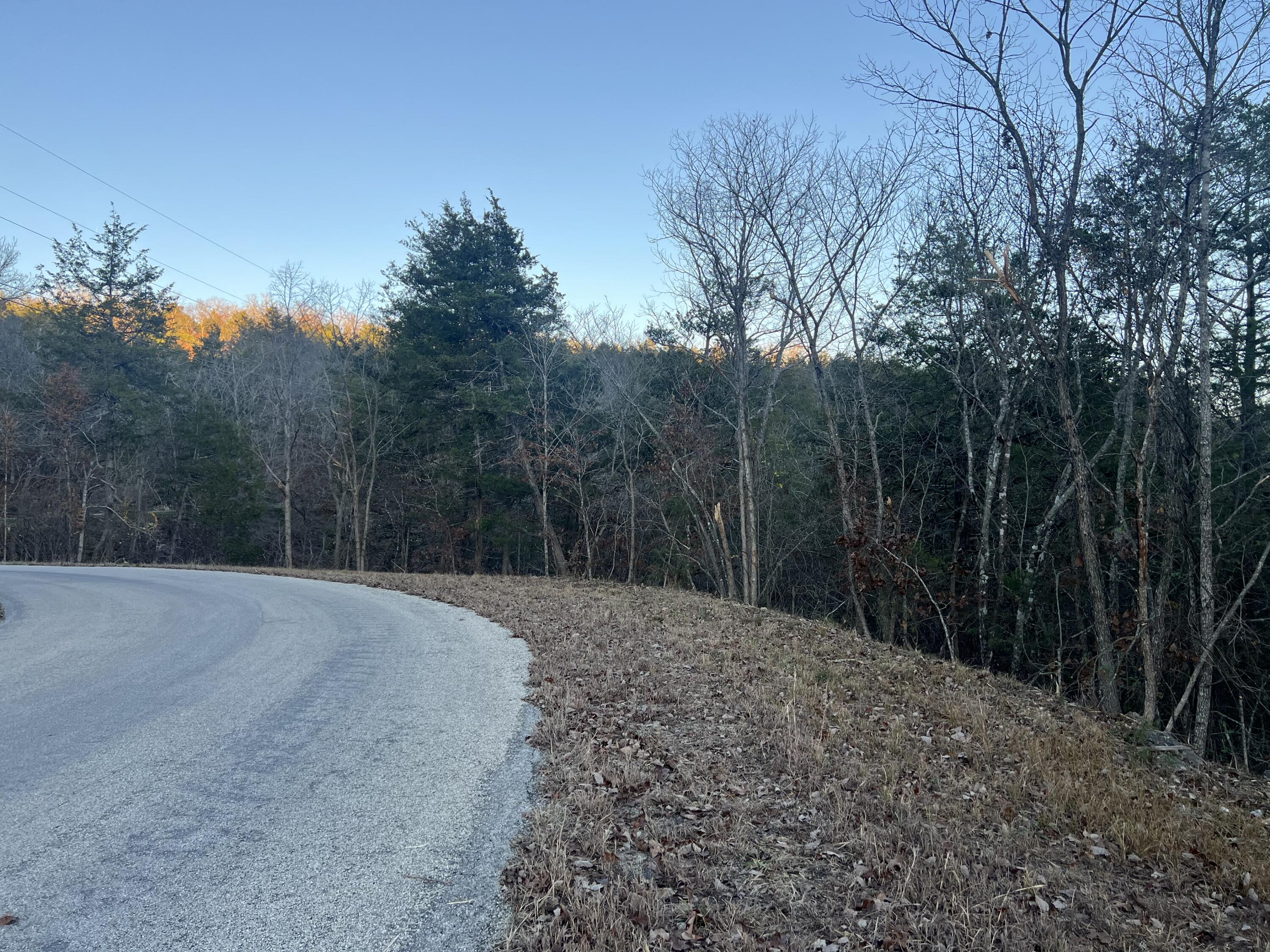 Photo 3 - Land for sale – 790  Pomme De Terre   Branson, MO