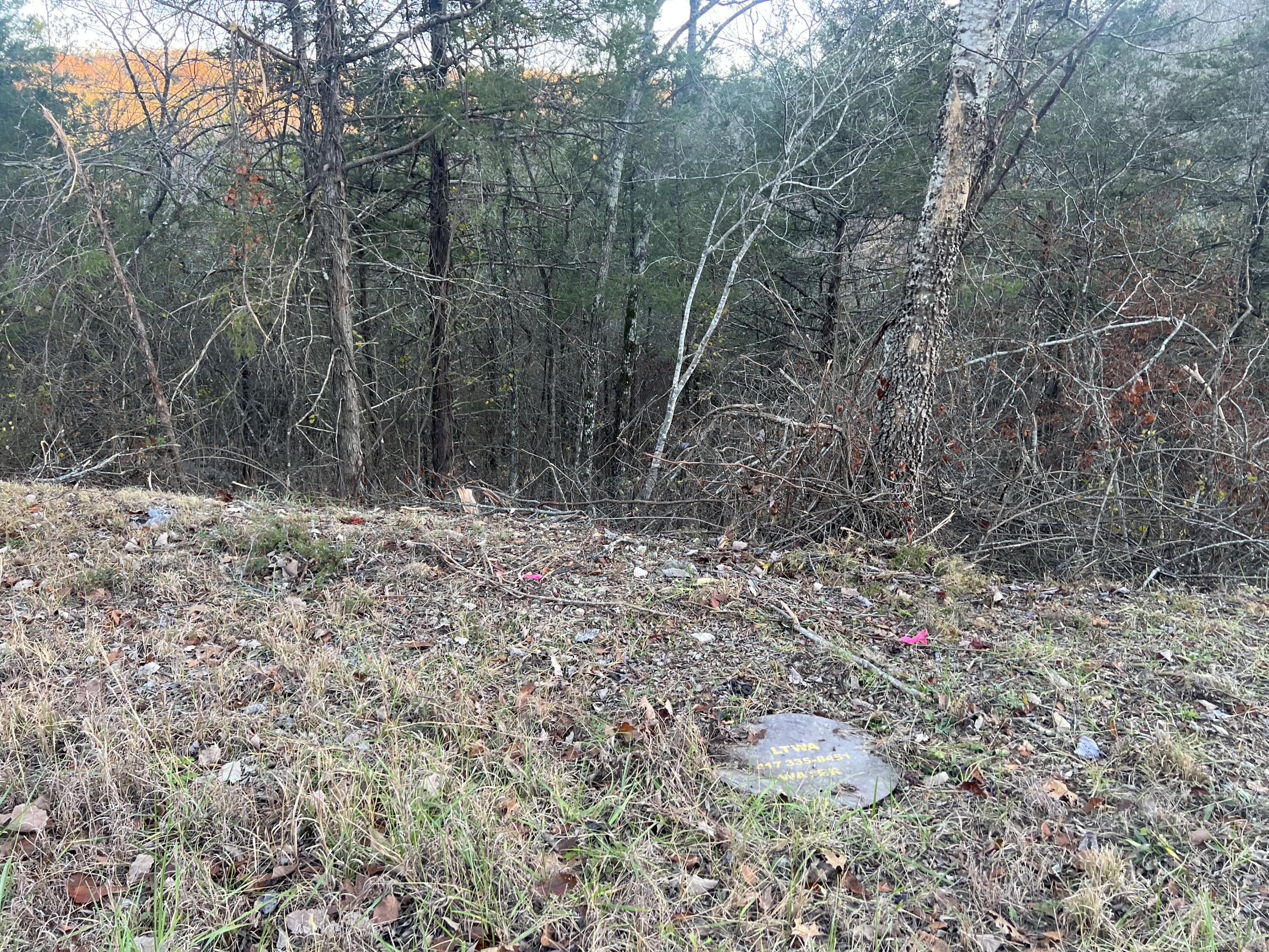 Photo 6 - Land for sale – 790  Pomme De Terre   Branson, MO