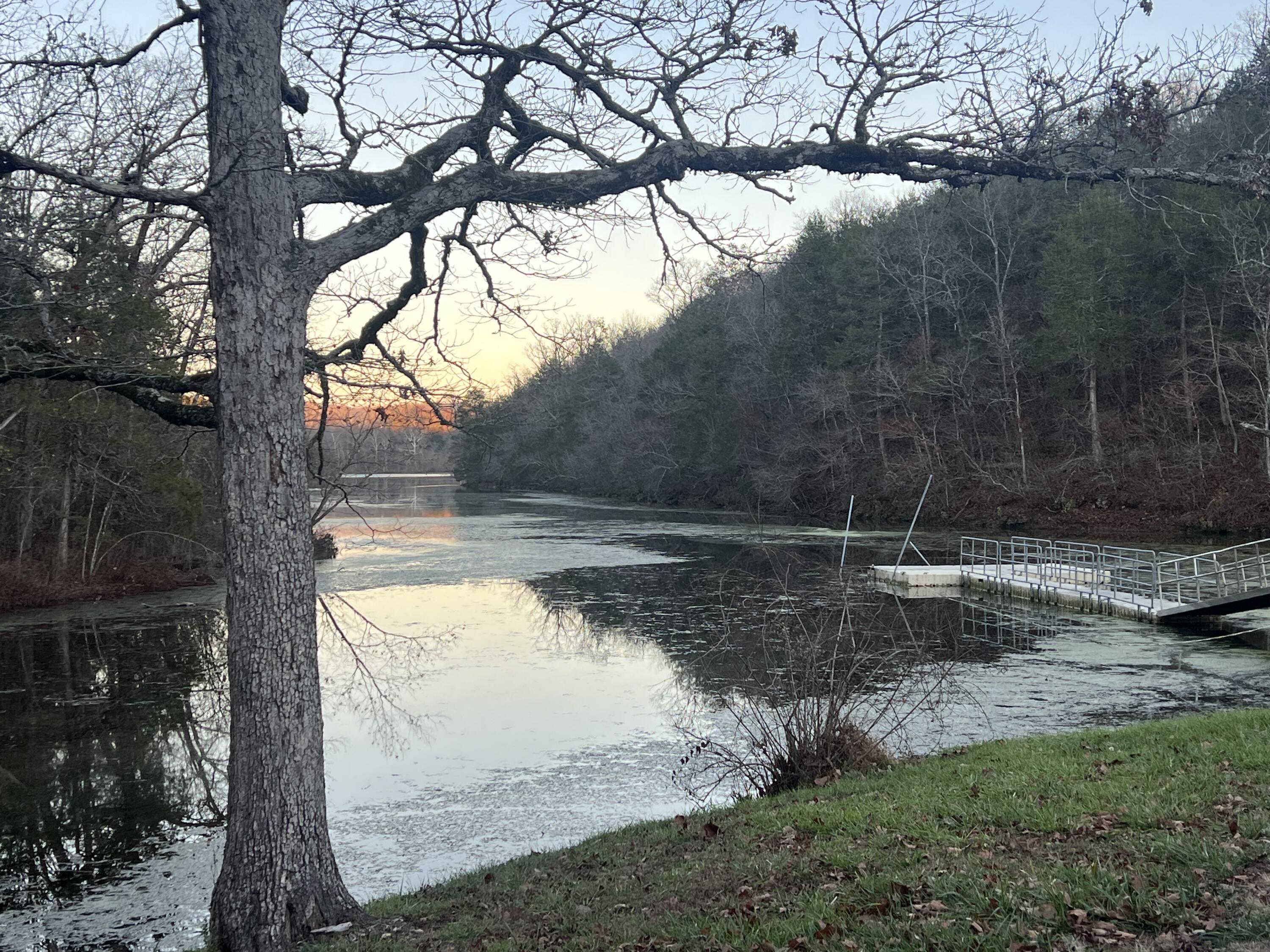 Photo 11 - Land for sale – 790  Pomme De Terre   Branson, MO