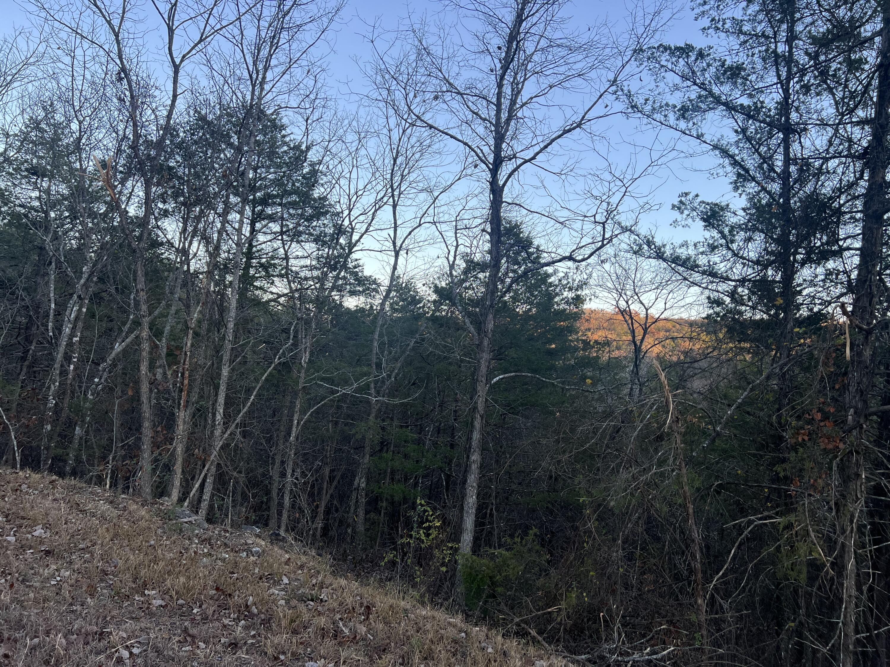 Photo 5 - Land for sale – 790  Pomme De Terre   Branson, MO