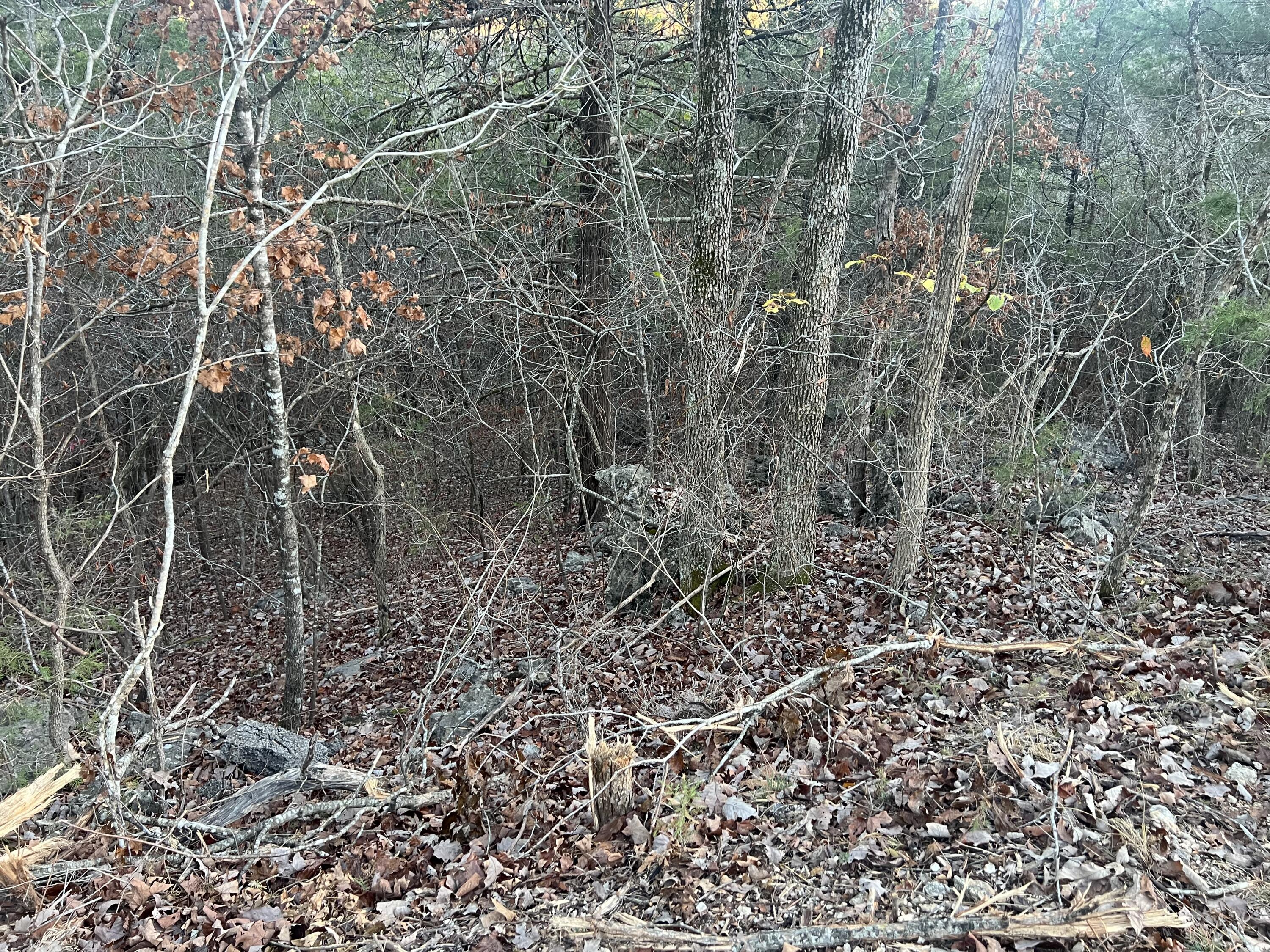 Photo 7 - Land for sale – 790  Pomme De Terre   Branson, MO