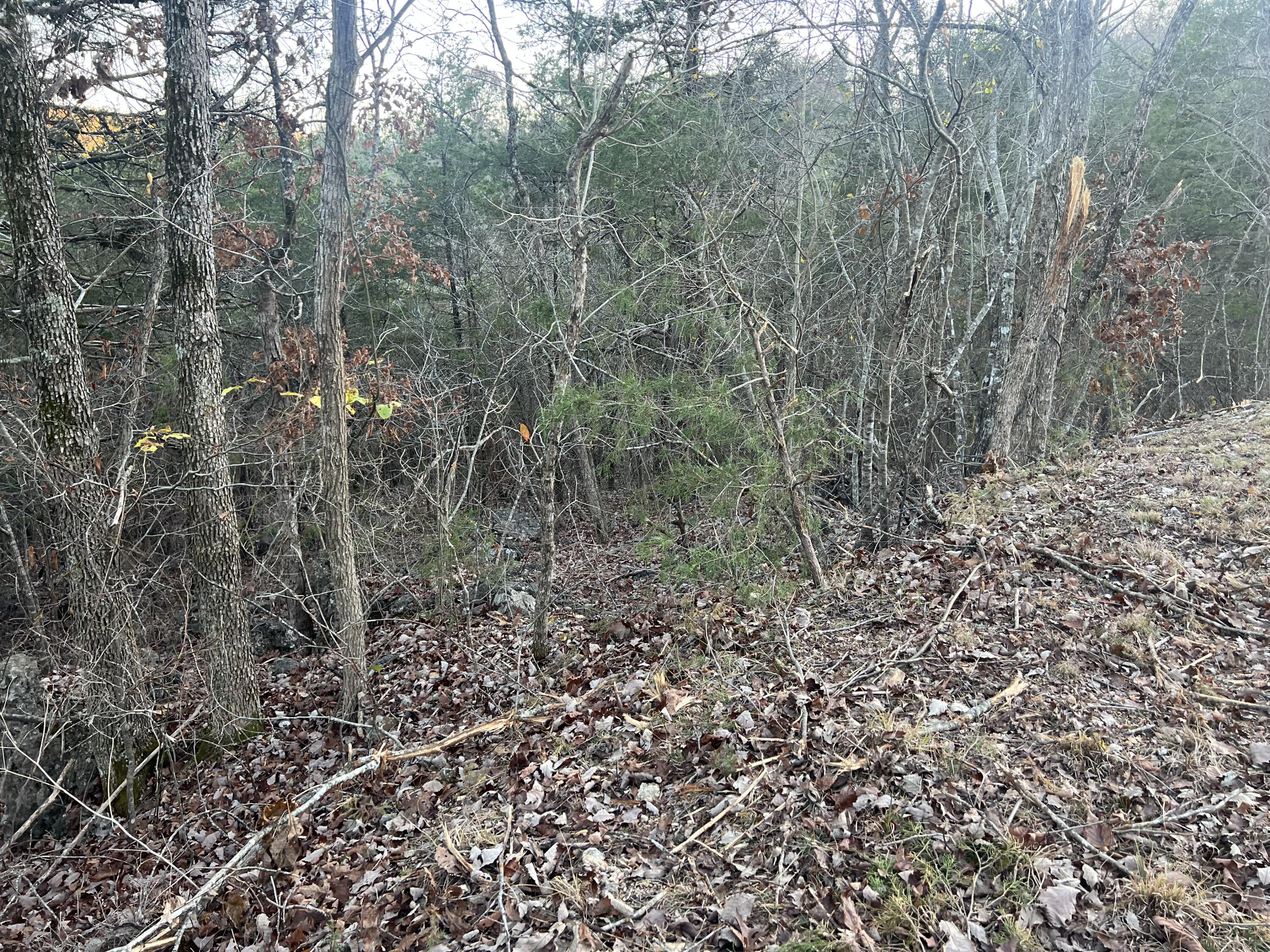 Photo 8 - Land for sale – 790  Pomme De Terre   Branson, MO
