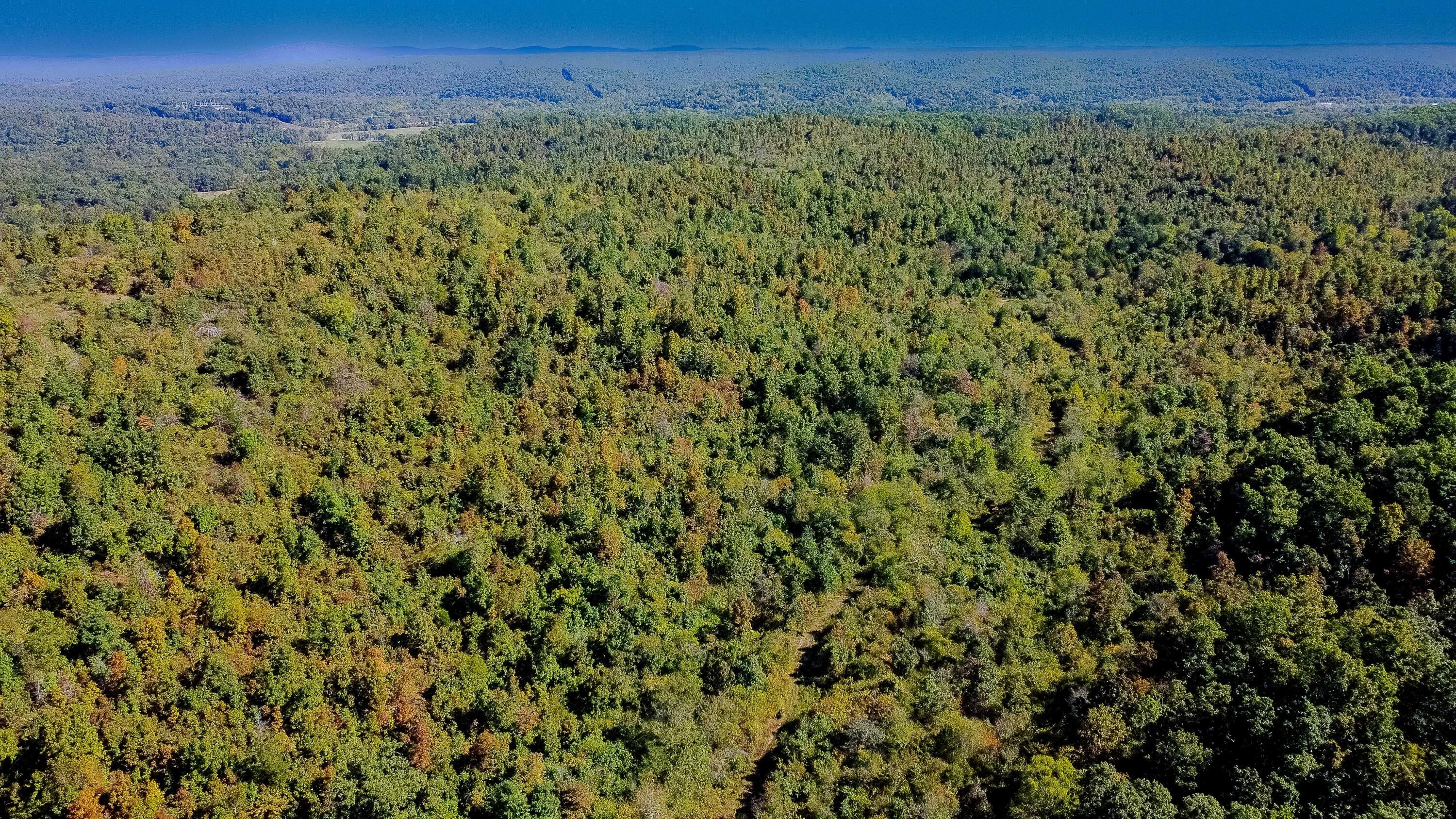 Photo 11 - Land for sale – 000  County Road 830   Thornfield, MO