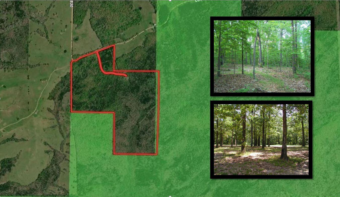 Land for sale – 000  County Road 830   Thornfield, MO