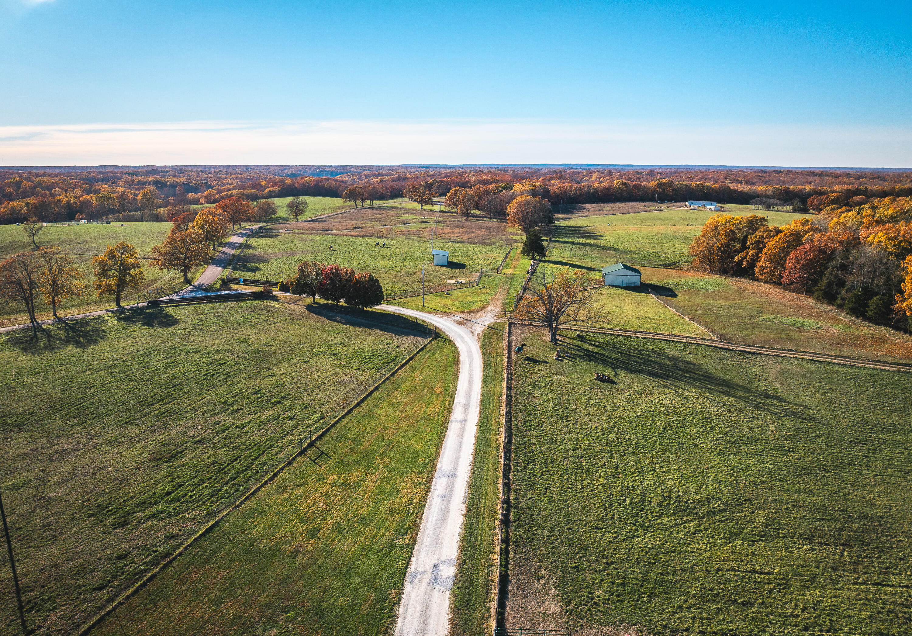 Photo 2 - Farm for sale – 17265  County Road 8280   Rolla, MO