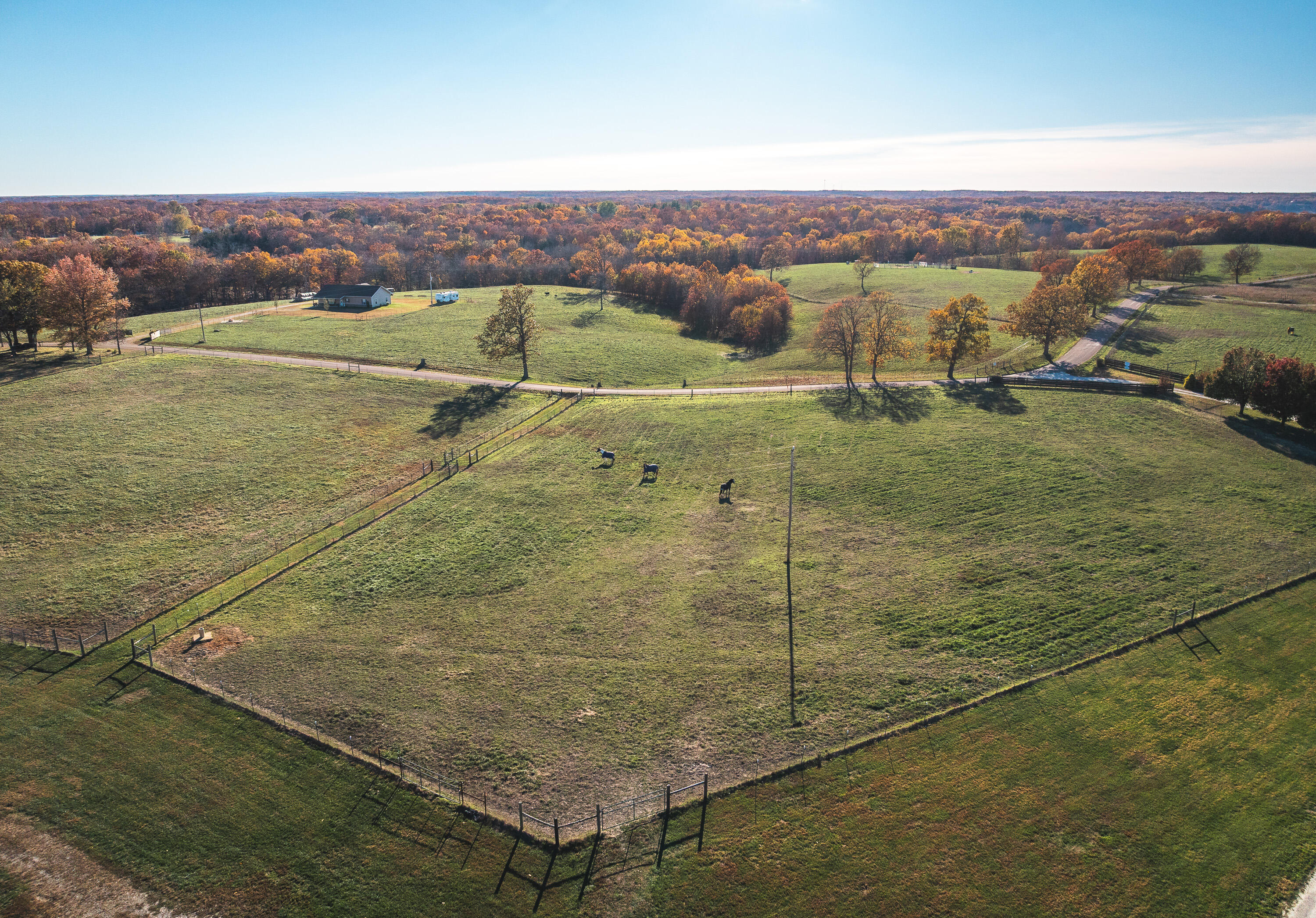 Photo 34 - Farm for sale – 17265  County Road 8280   Rolla, MO