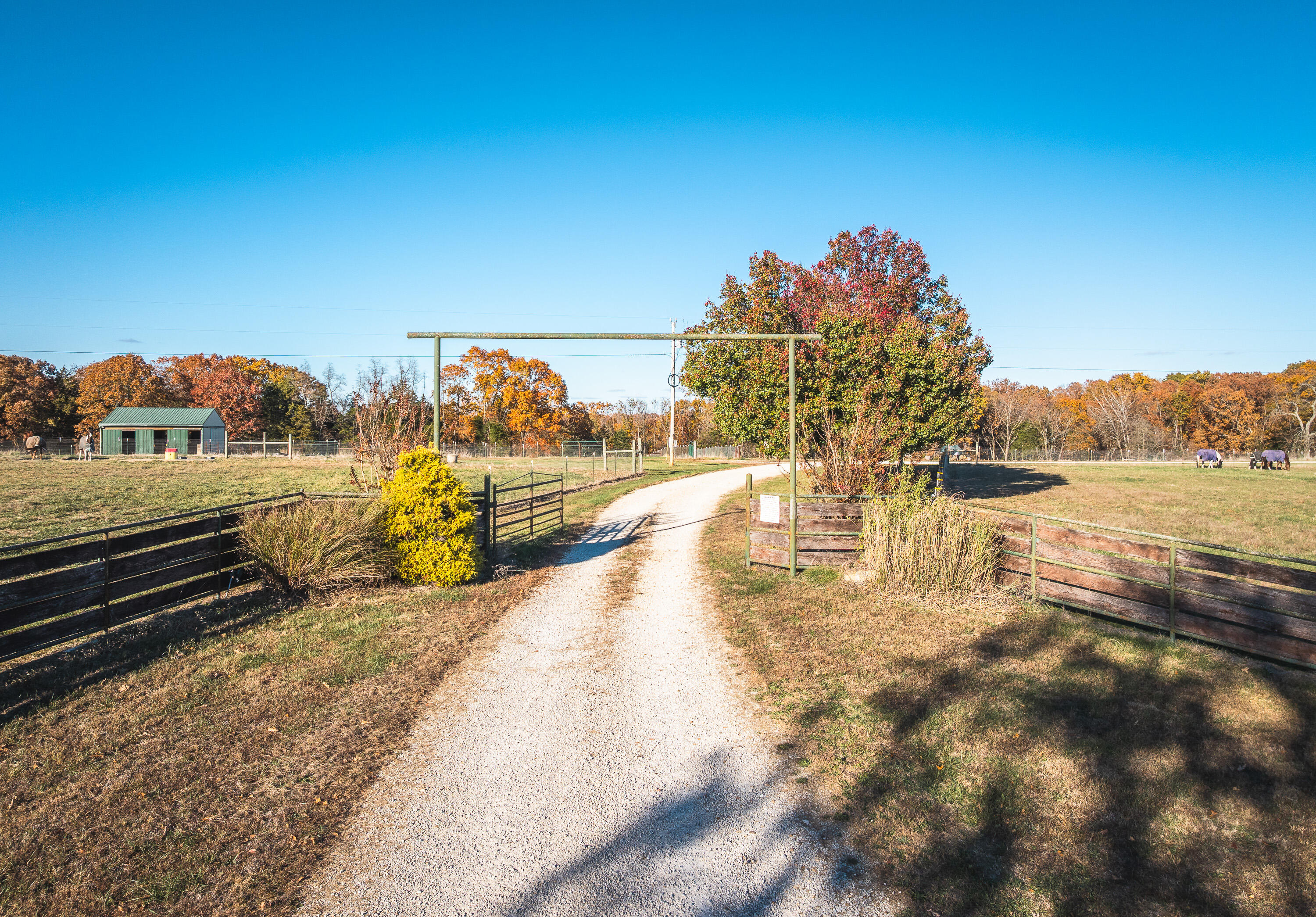 Photo 49 - Farm for sale – 17265  County Road 8280   Rolla, MO