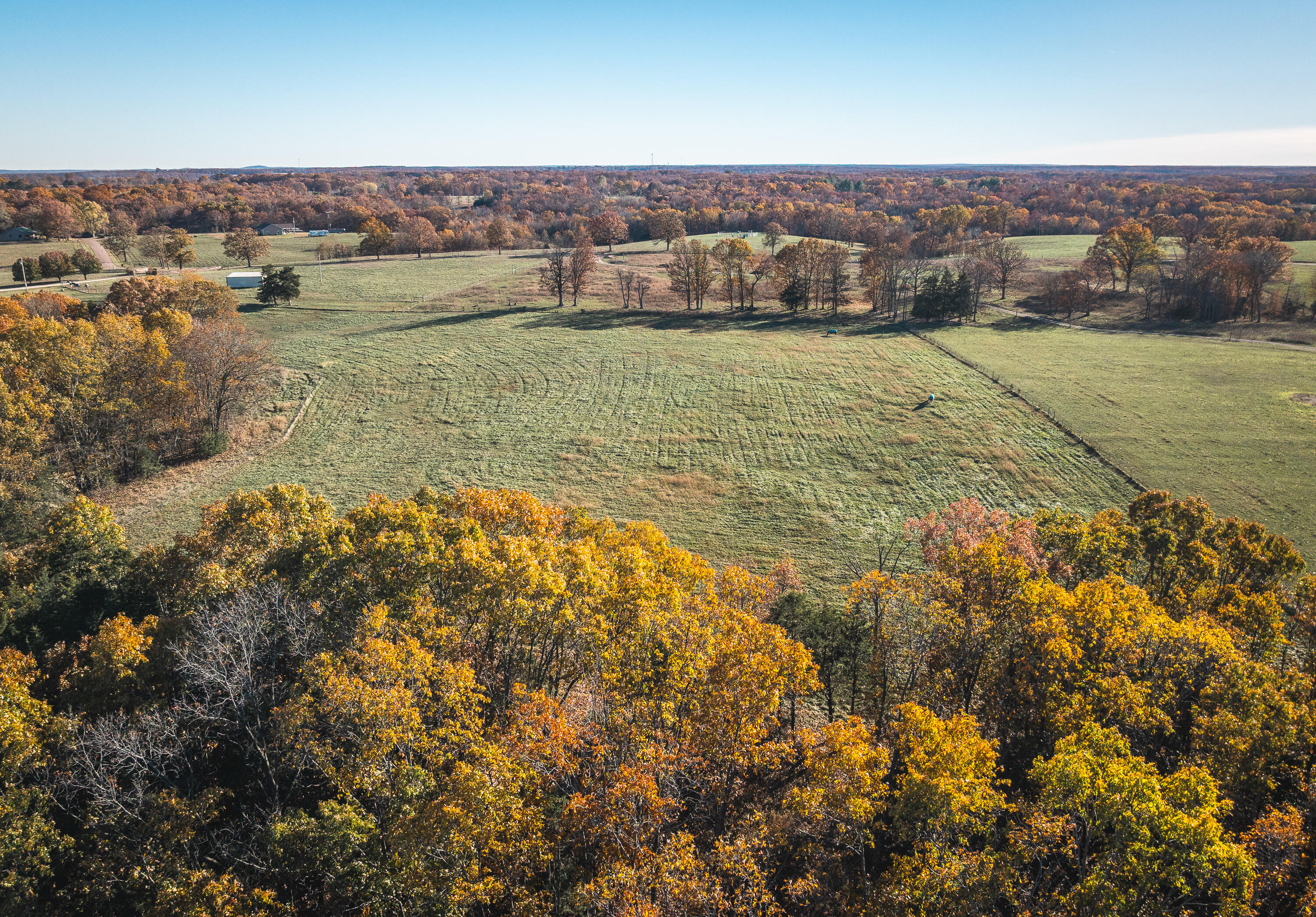 Photo 47 - Farm for sale – 17265  County Road 8280   Rolla, MO