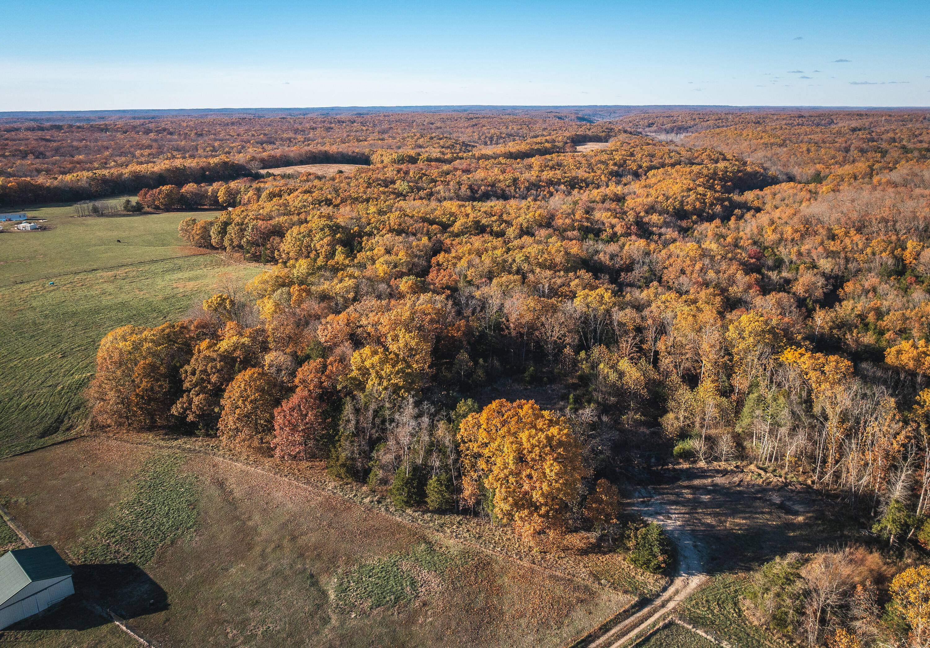 Photo 44 - Farm for sale – 17265  County Road 8280   Rolla, MO